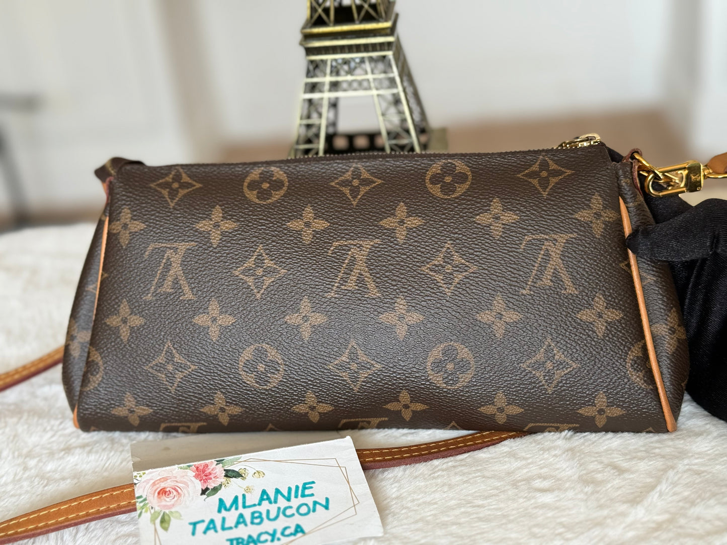 Louis Vuitton Eva Pochette Mono