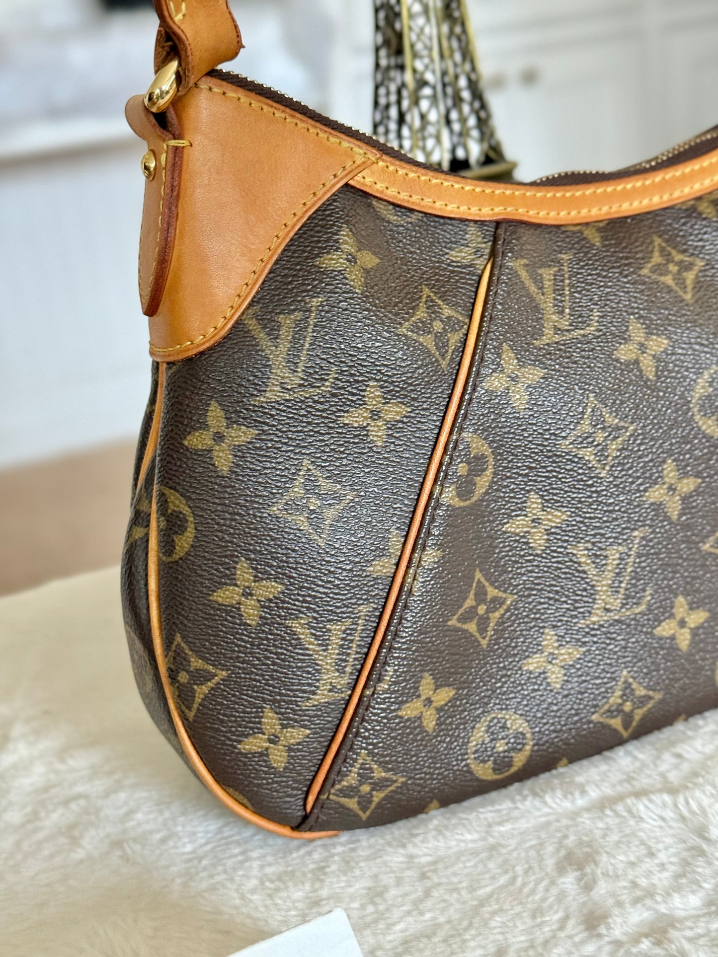 Louis Vuitton Thames PM Mono