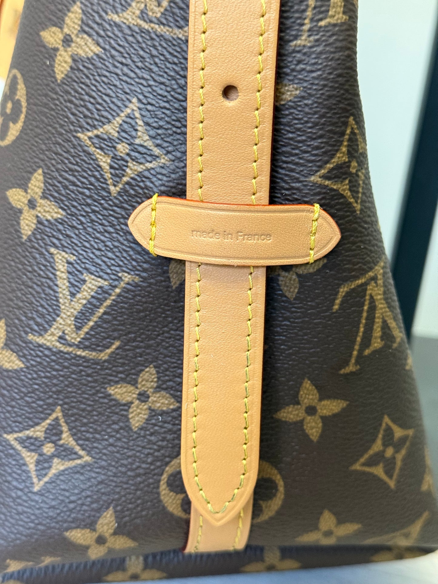 Louis Vuitton Carryall PM Mono (Bag Only)