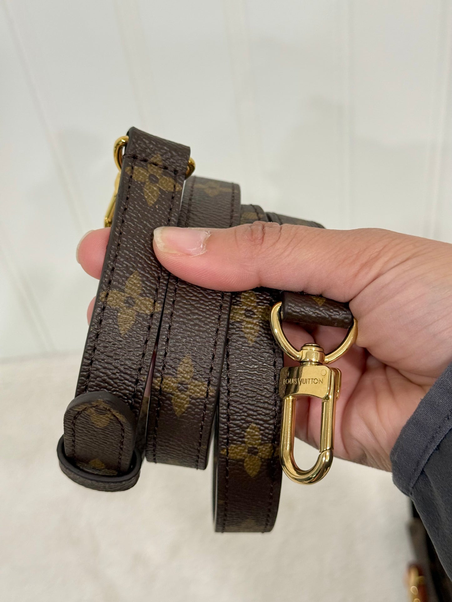 Louis Vuitton Pochette Metis Mono