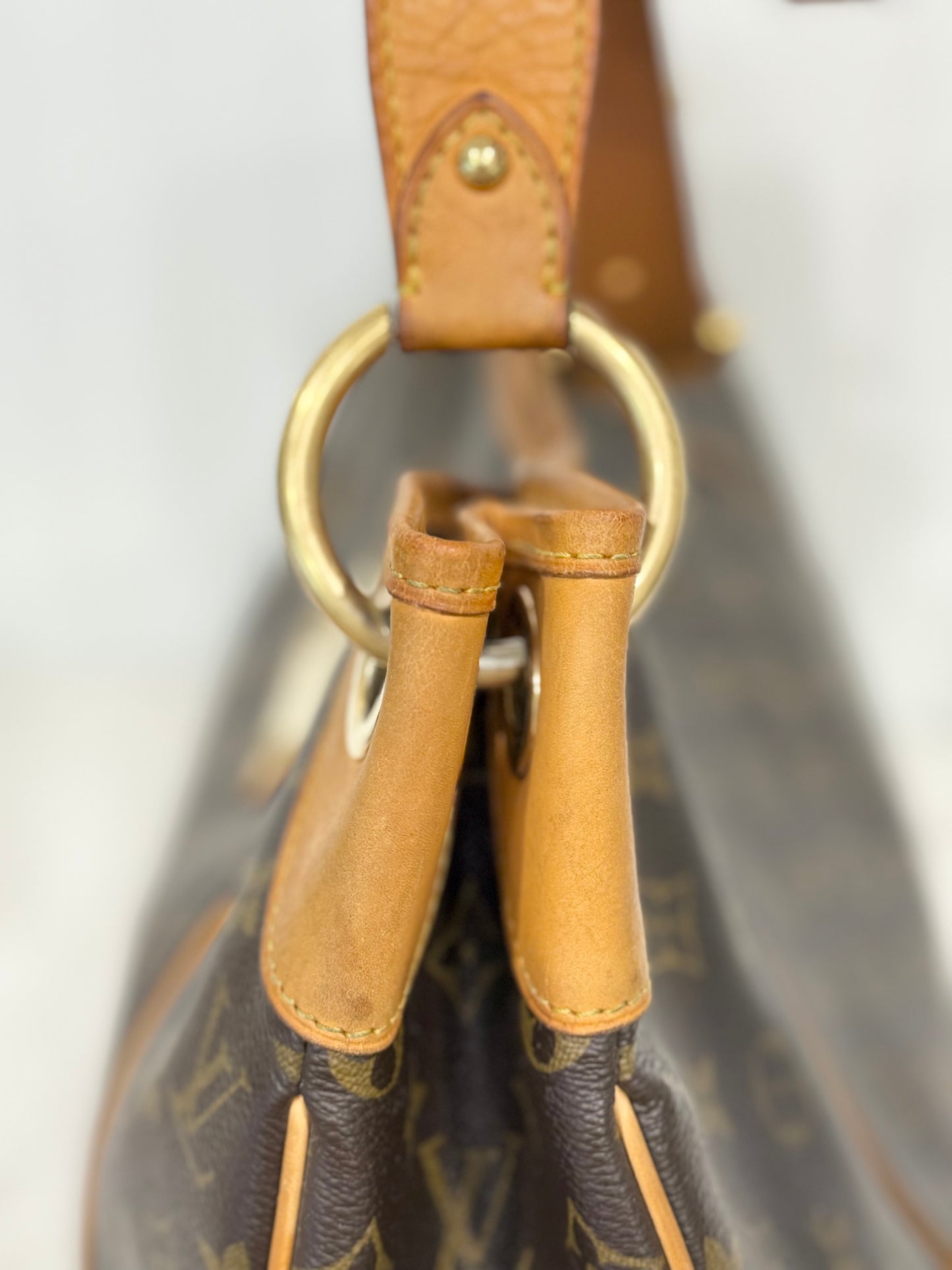 Louis Vuitton Galliera GM Mono