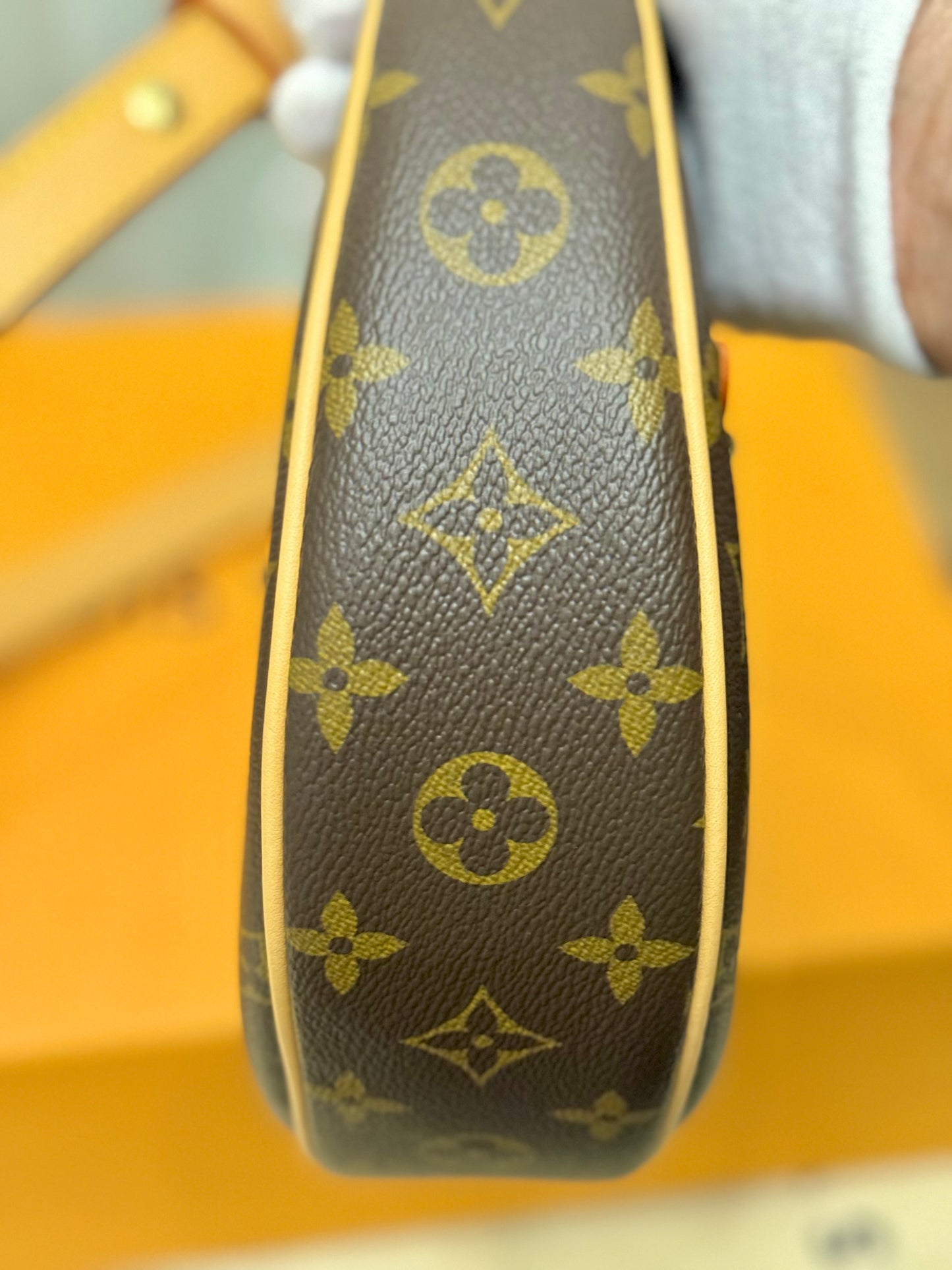 Louis Vuitton Loop PM Mono