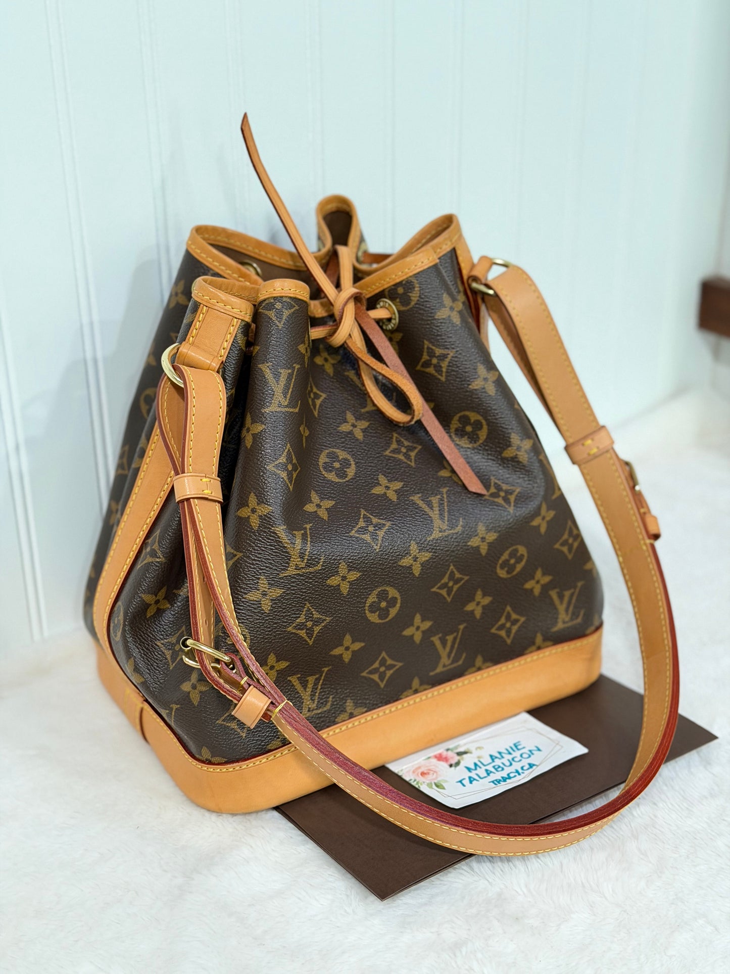 Louis Vuitton Petit Noe NM Mono