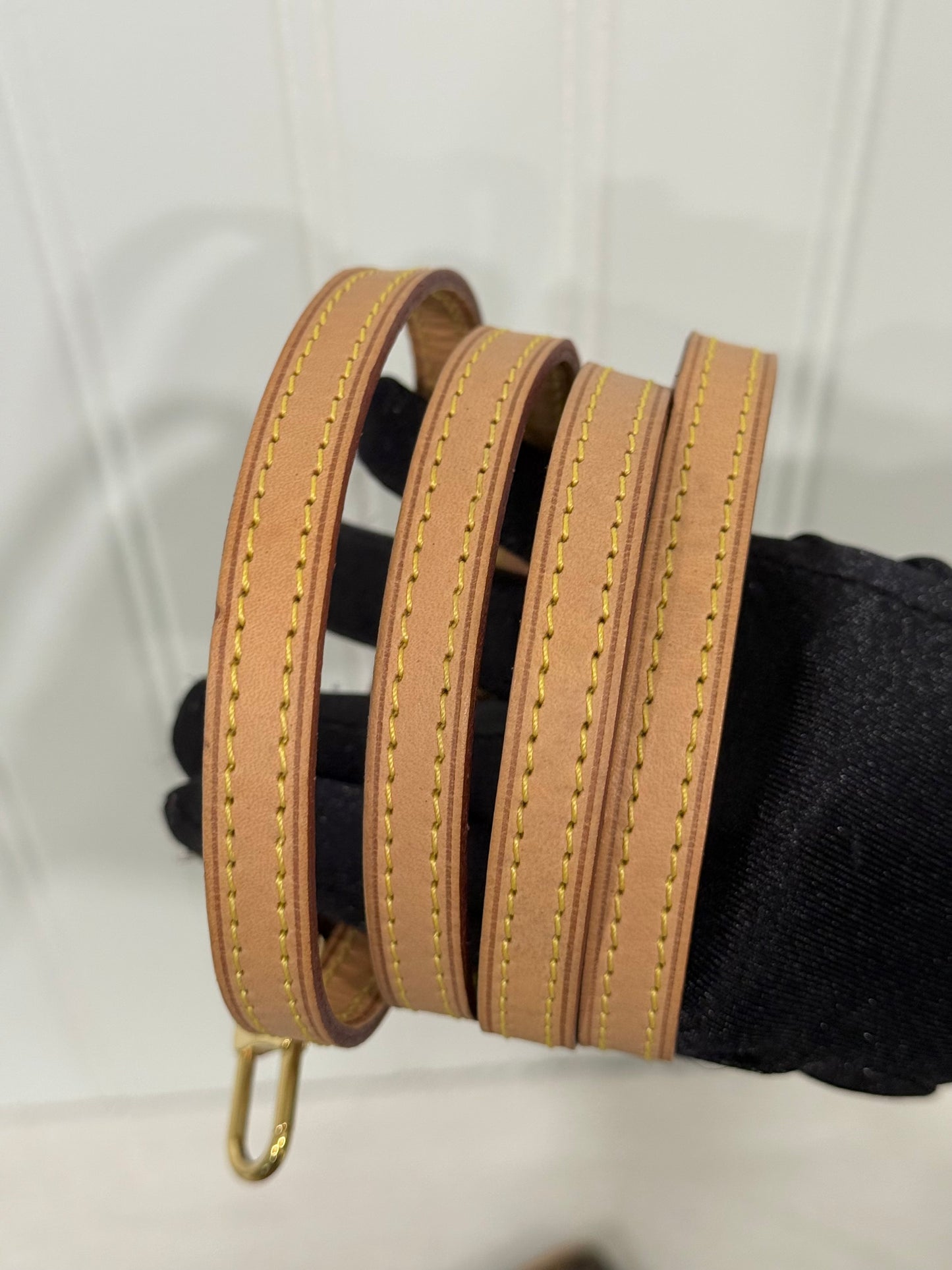 Louis Vuitton Twin Pochette GM Mono