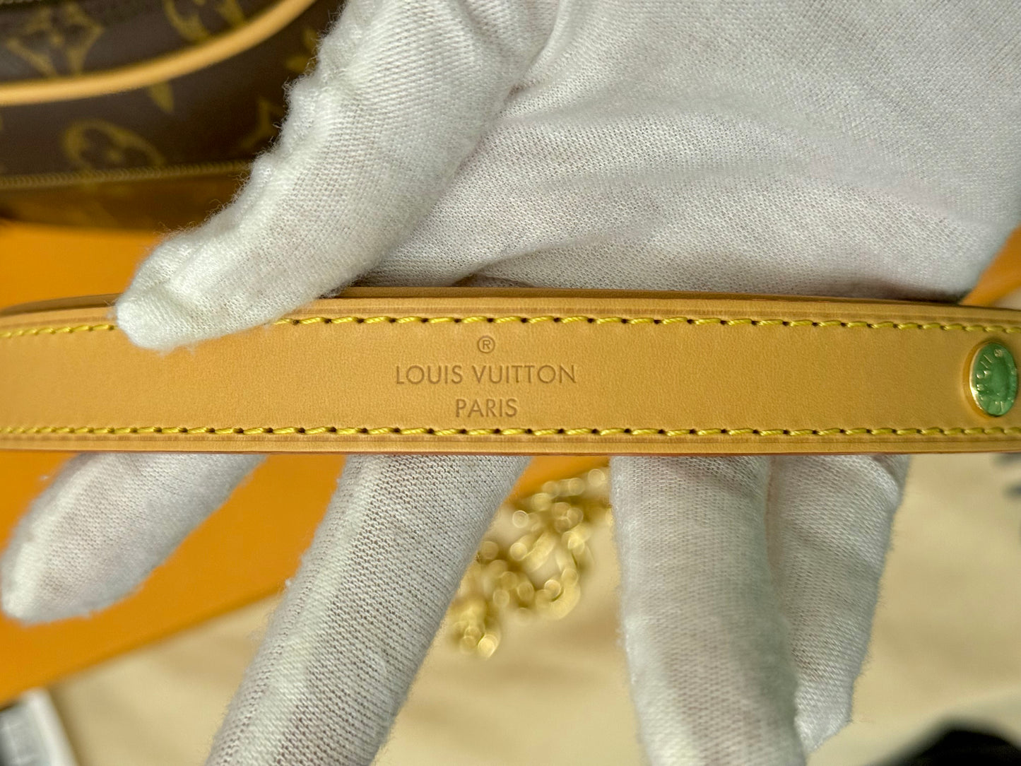 Louis Vuitton Loop PM Mono