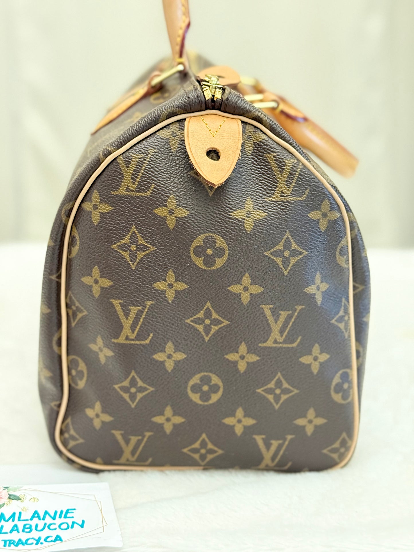 Louis Vuitton Speedy 30 Mono