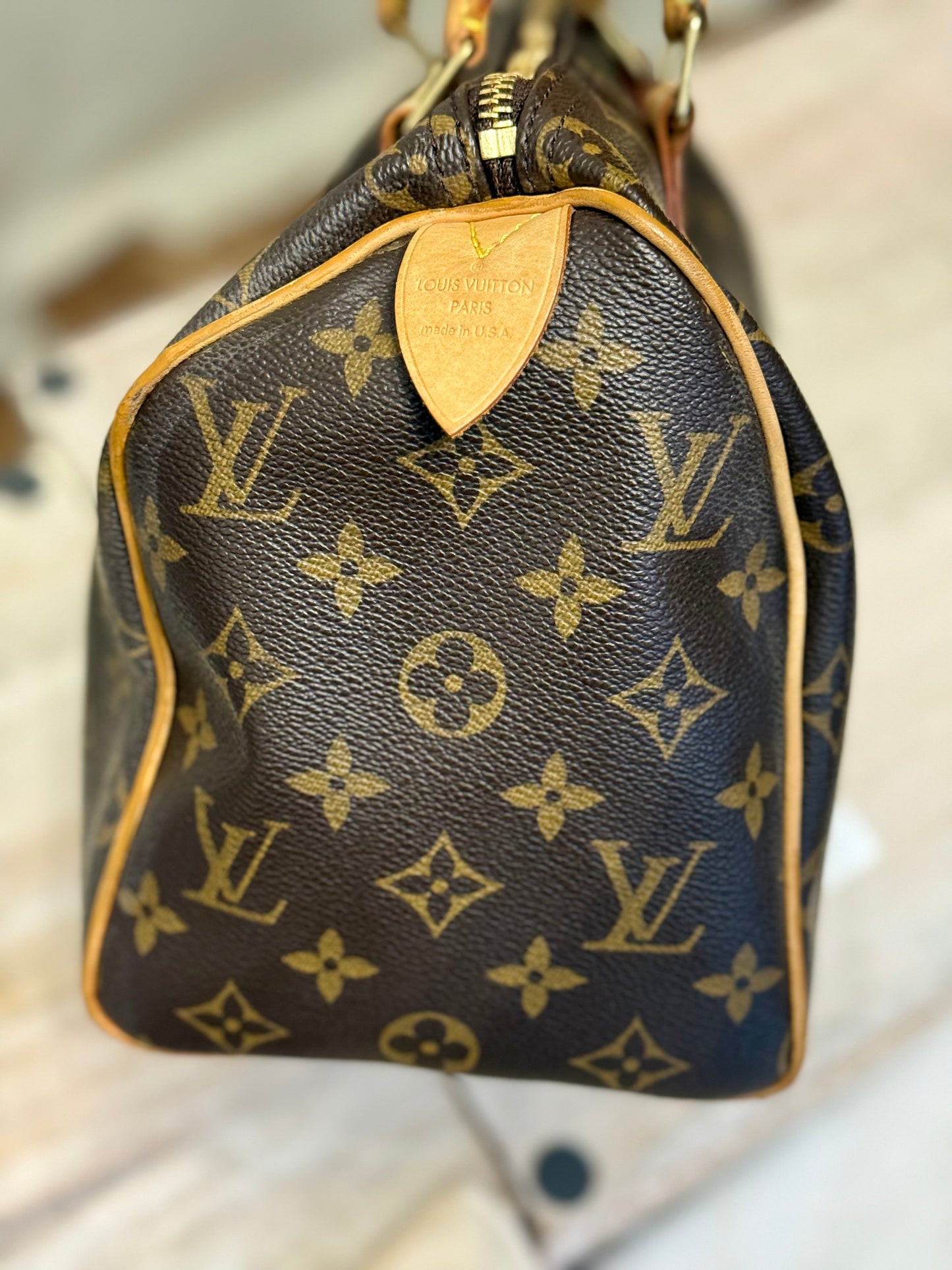Louis Vuitton Speedy 25 Mono