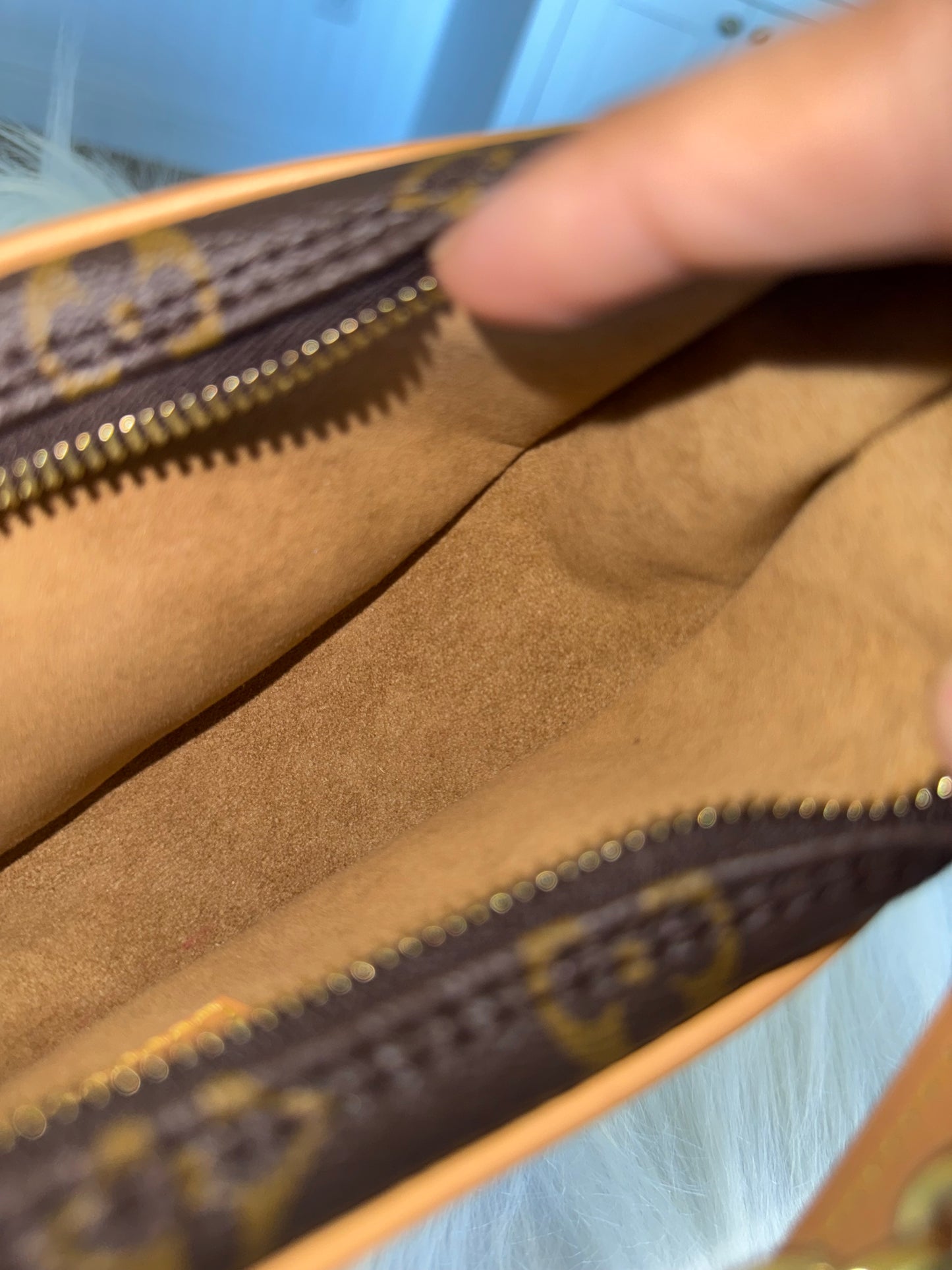 Louis Vuitton Loop PM Mono