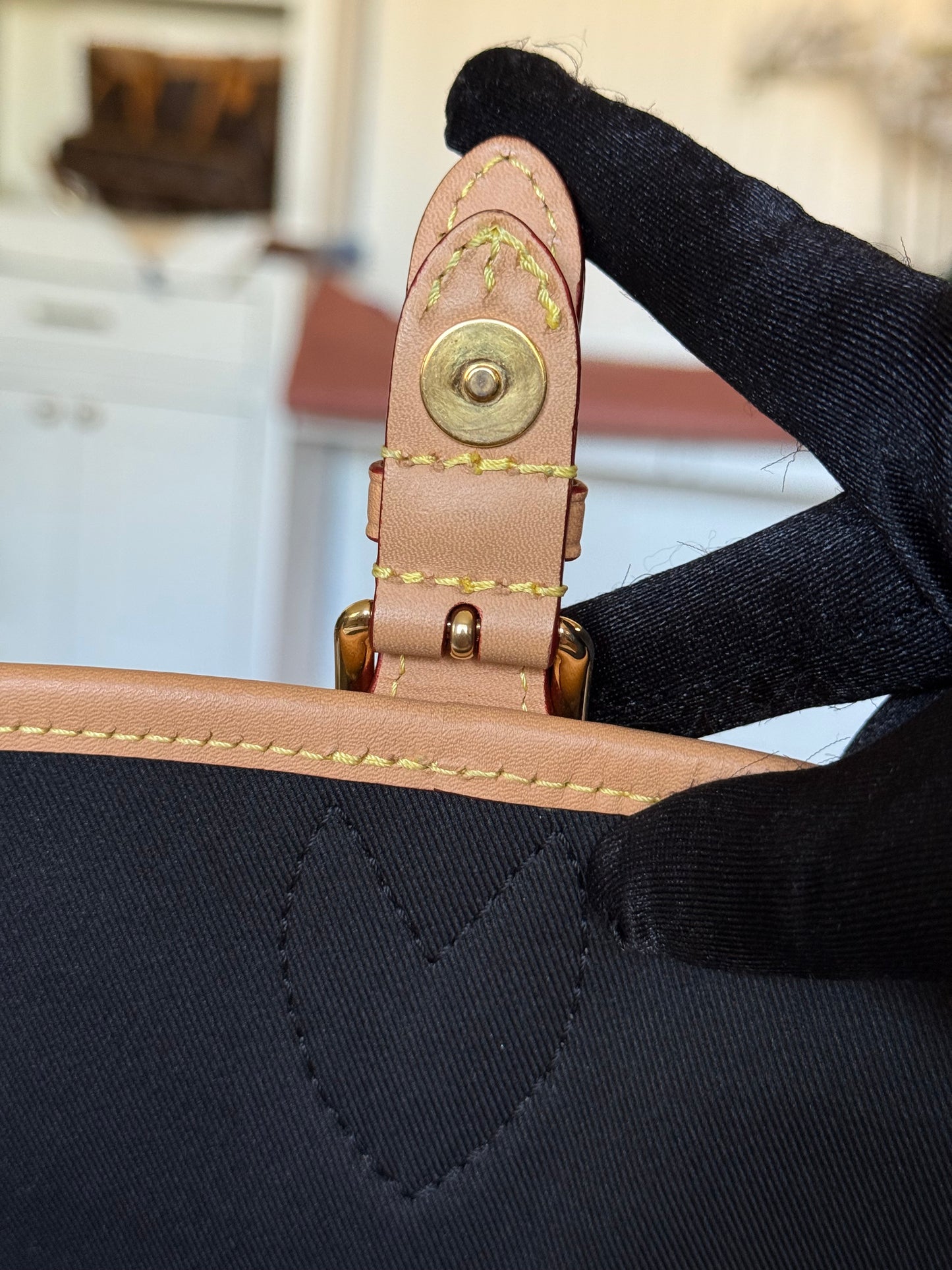 Louis Vuitton Diane Mono with Shoulder Strap