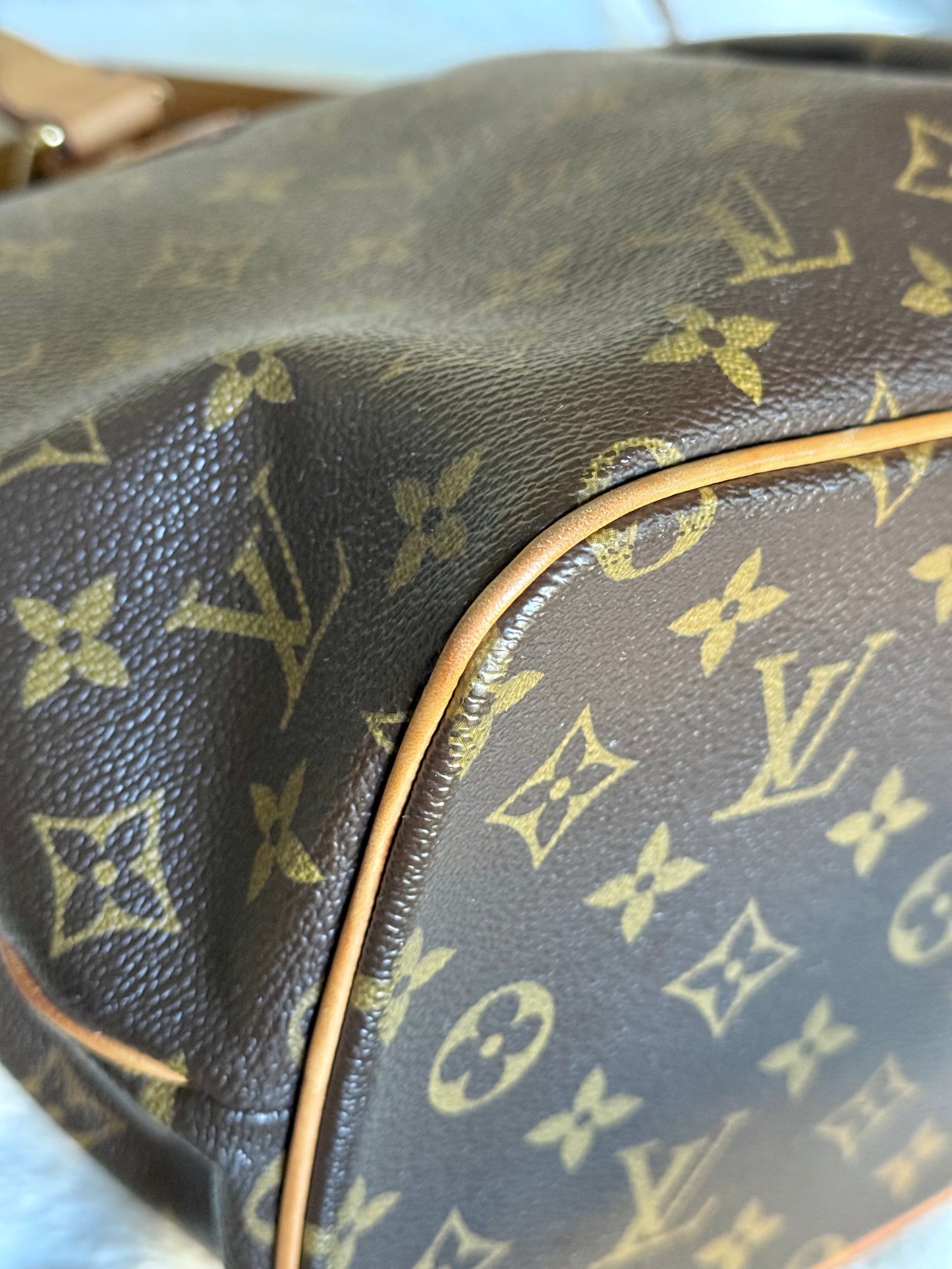 Louis Vuitton Palermo PM Mono