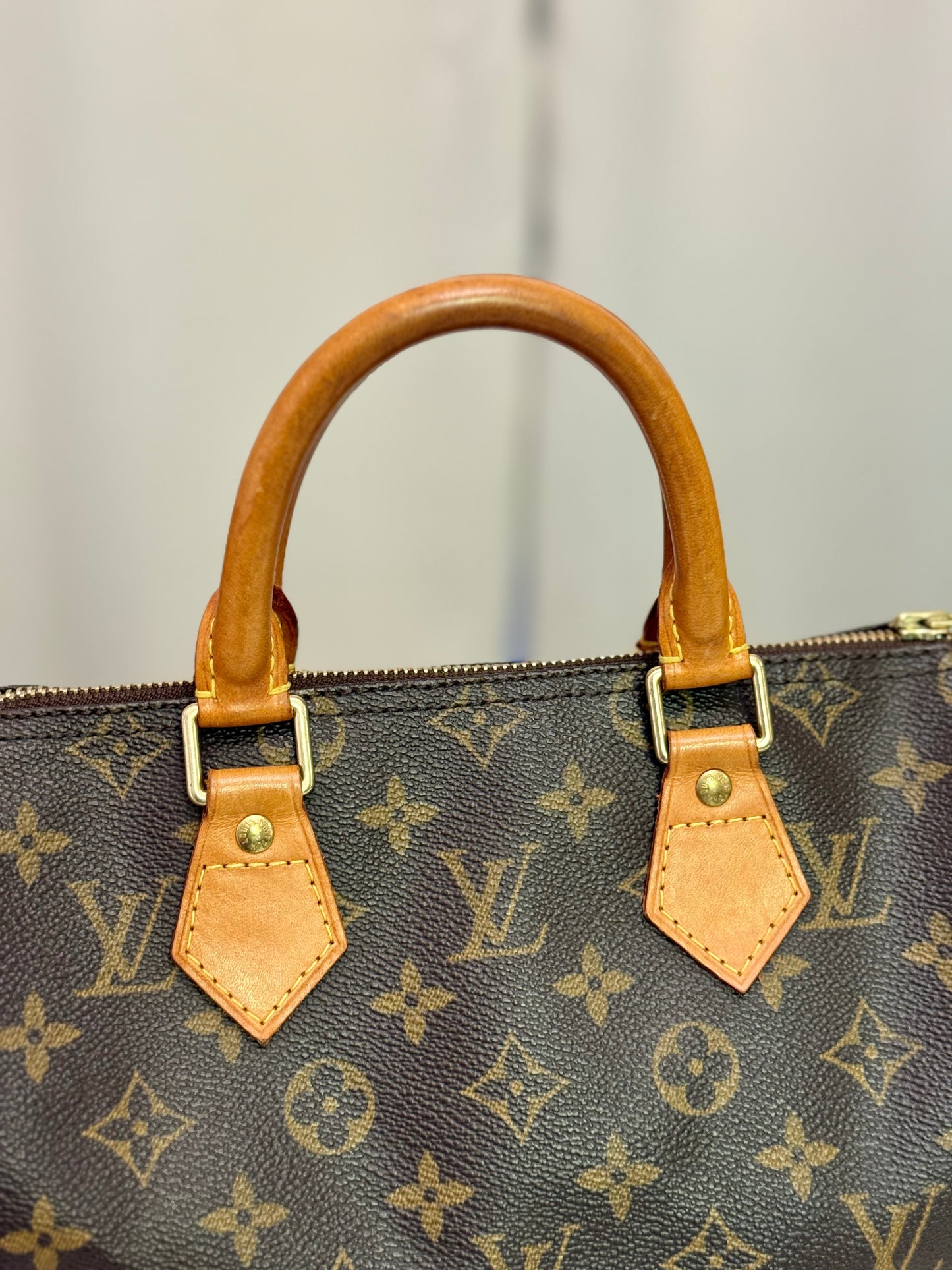 Louis Vuitton Speedy 25 Mono