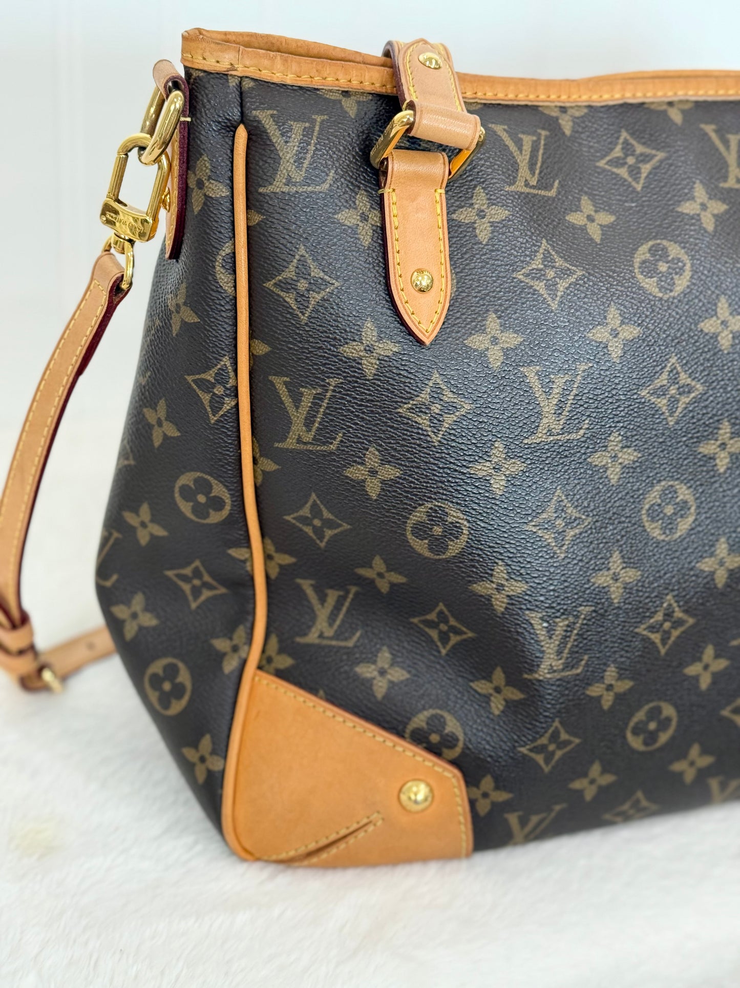 Louis Vuitton Estrela MM Mono