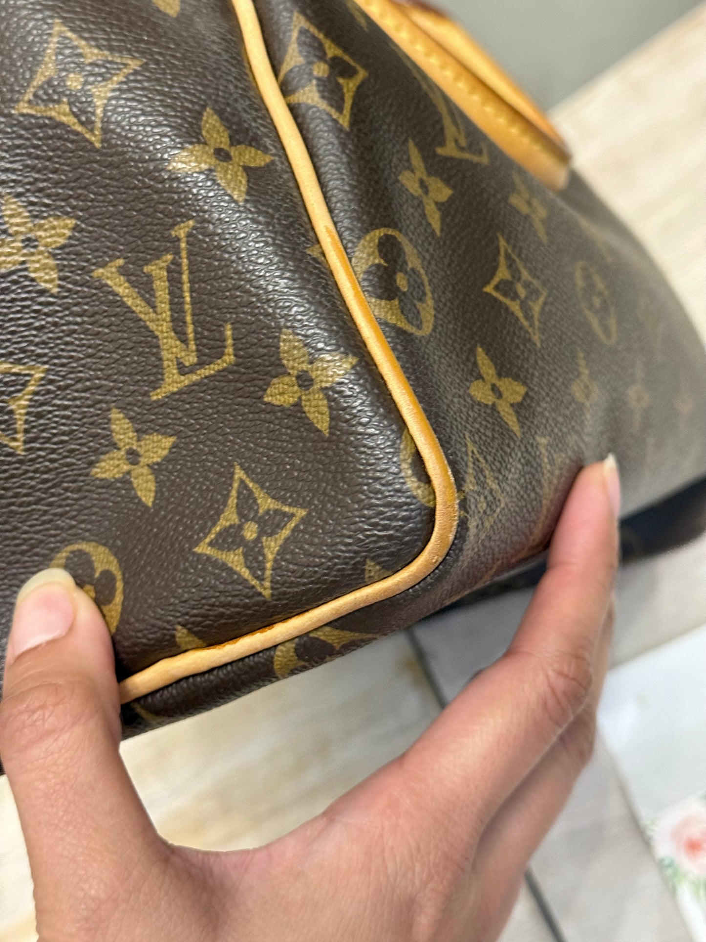Louis Vuitton Speedy 25 Mono