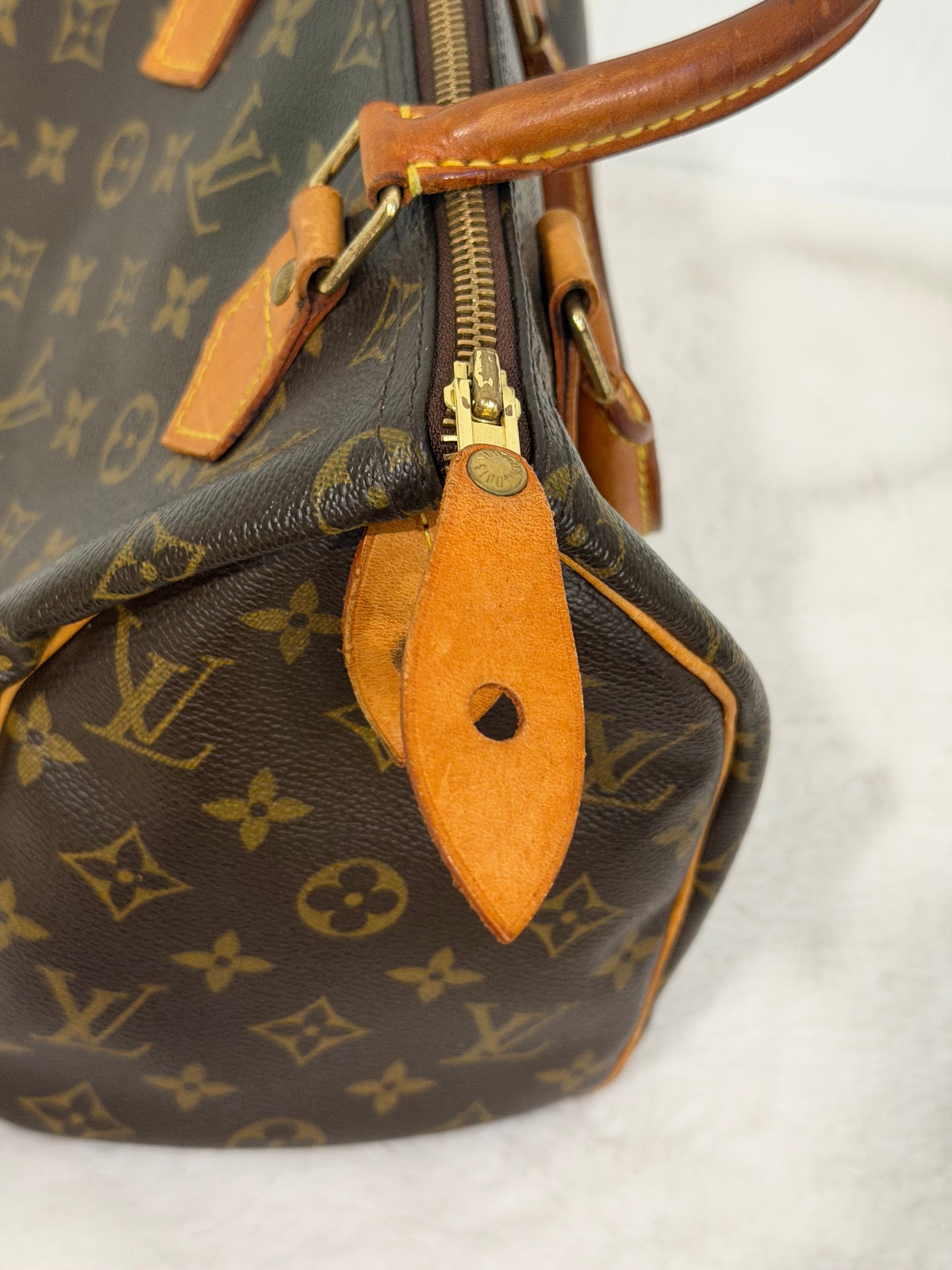 Louis Vuitton Speedy 25 Mono