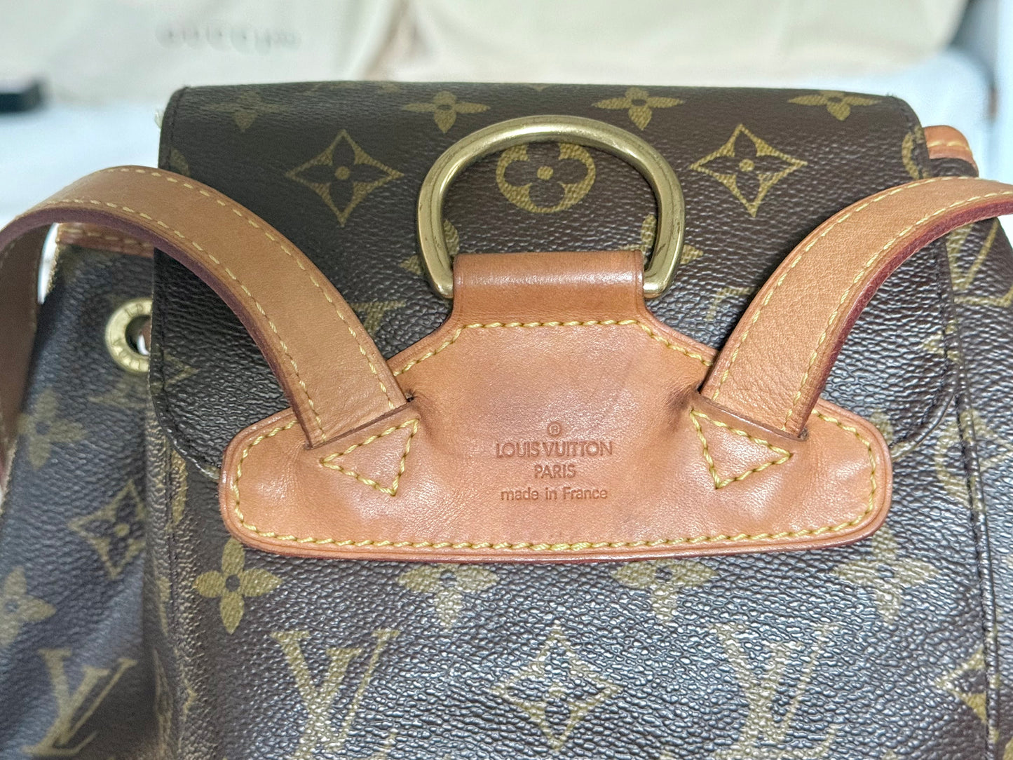 Louis Vuitton Montsouris PM Mono Old Model