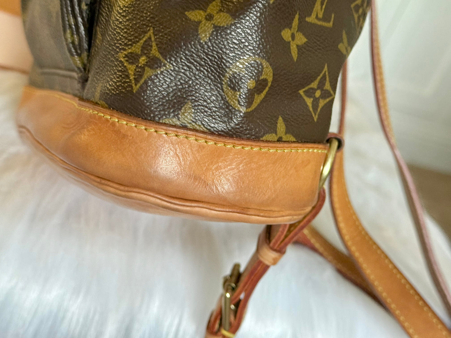 Louis Vuitton Montsouris PM Mono Old Model