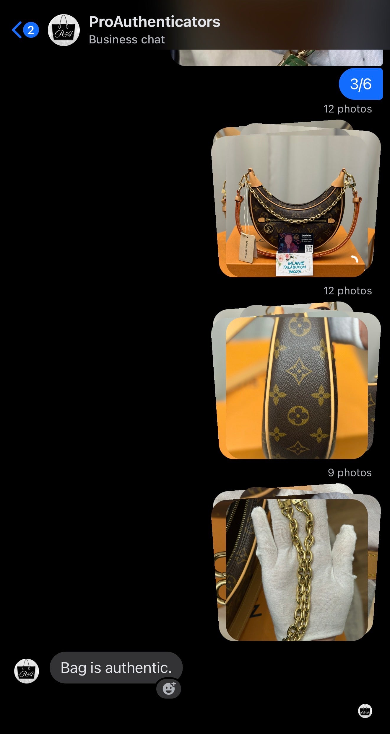 Louis Vuitton Loop PM Mono