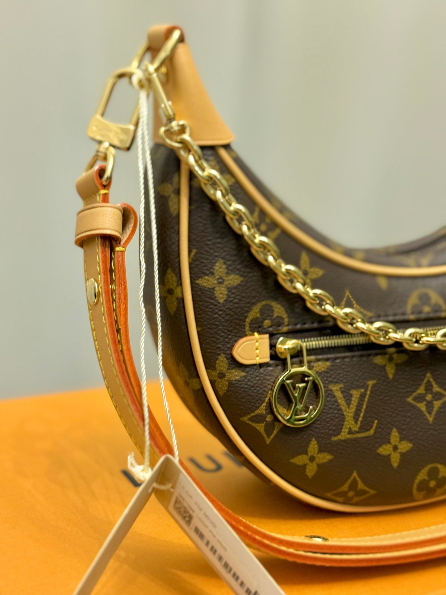 Louis Vuitton Loop PM Mono
