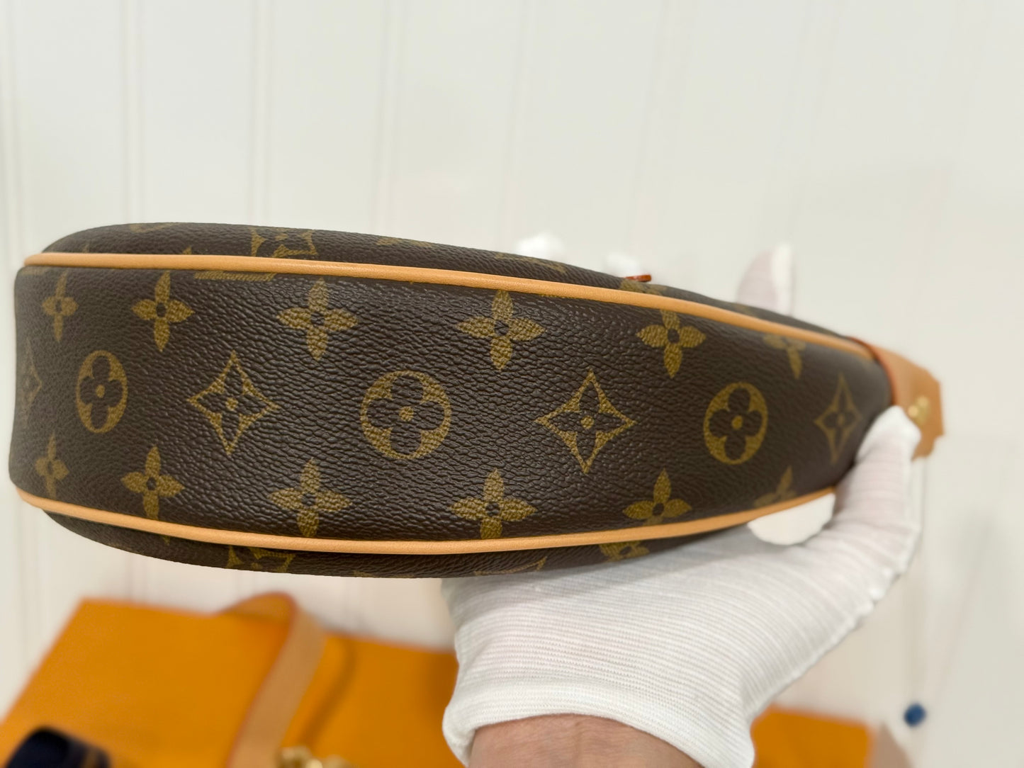 Louis Vuitton Loop PM Mono