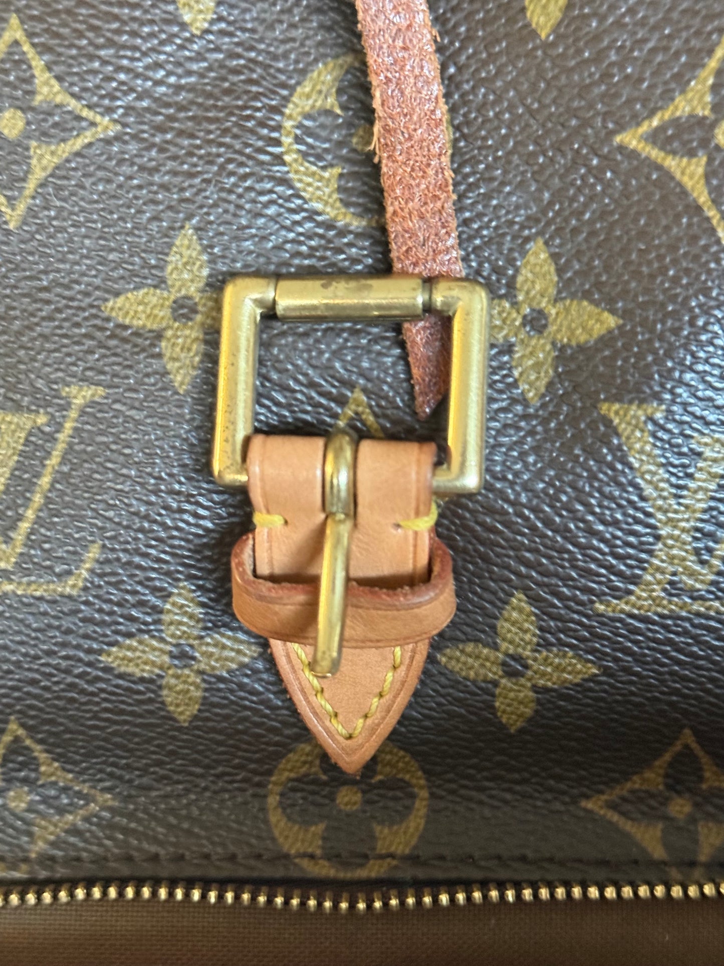 Louis Vuitton Montsouris PM Mono Old Model