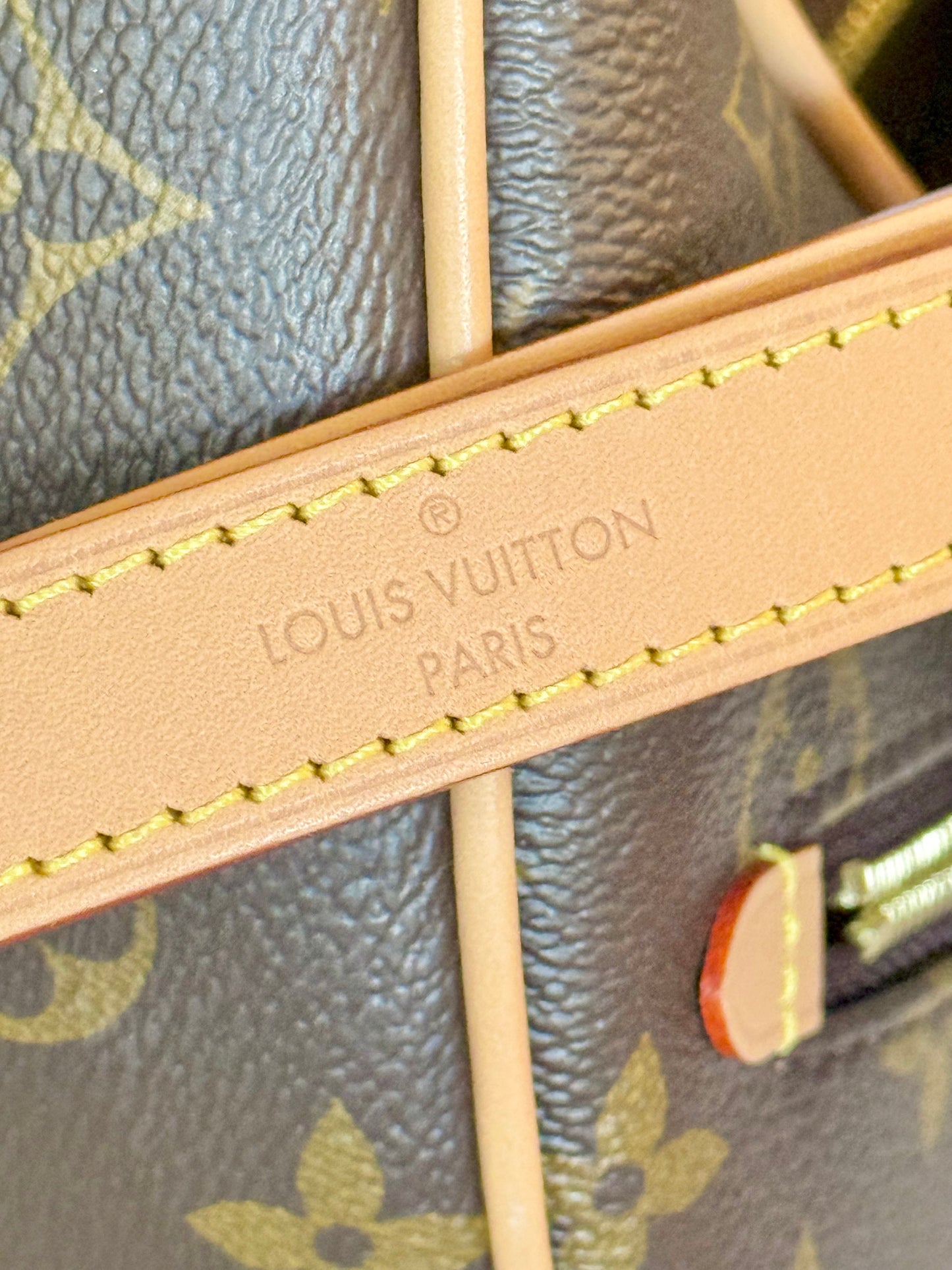 Louis Vuitton Loop PM Mono