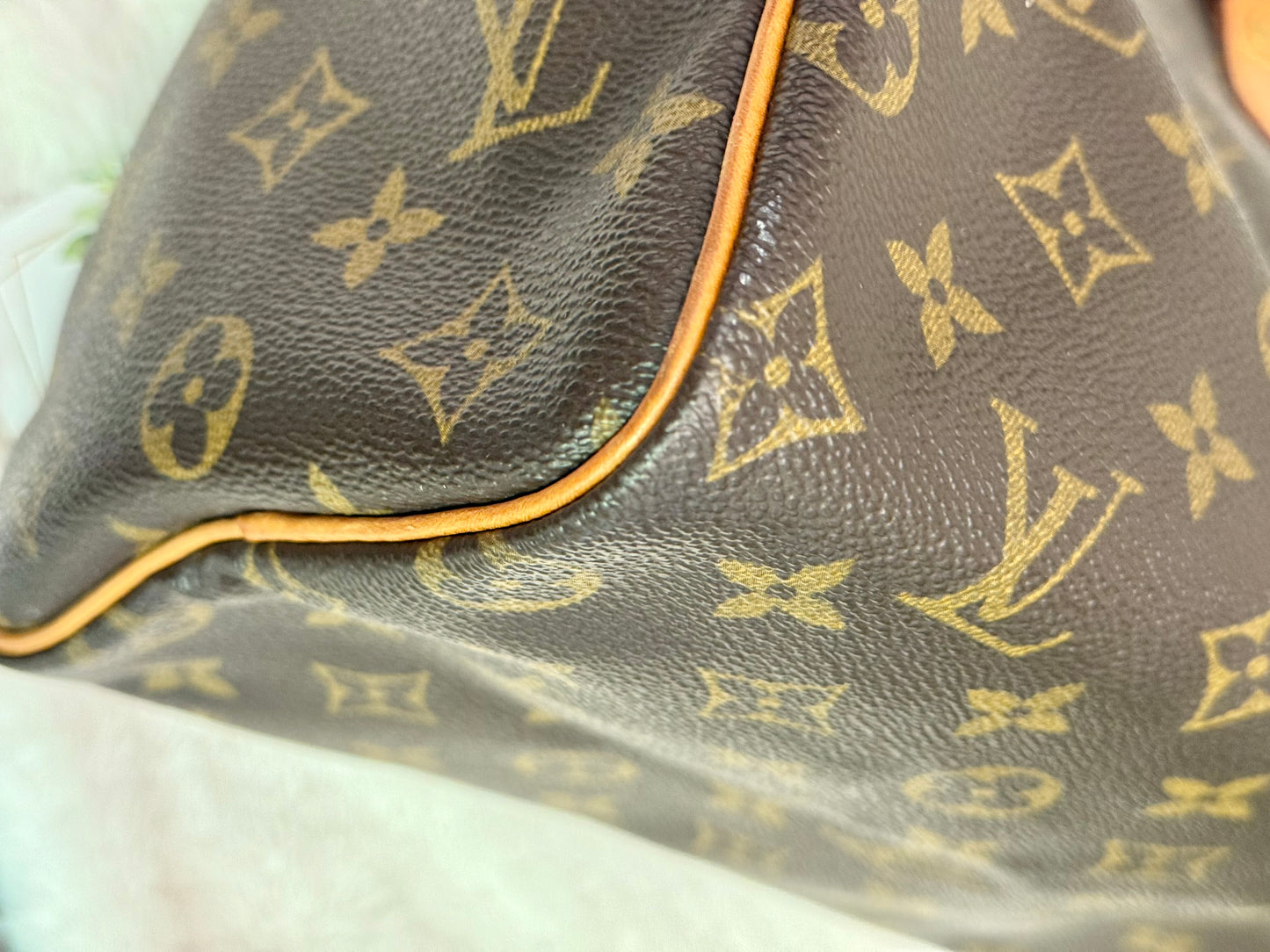 Louis Vuitton Speedy 25 Mono