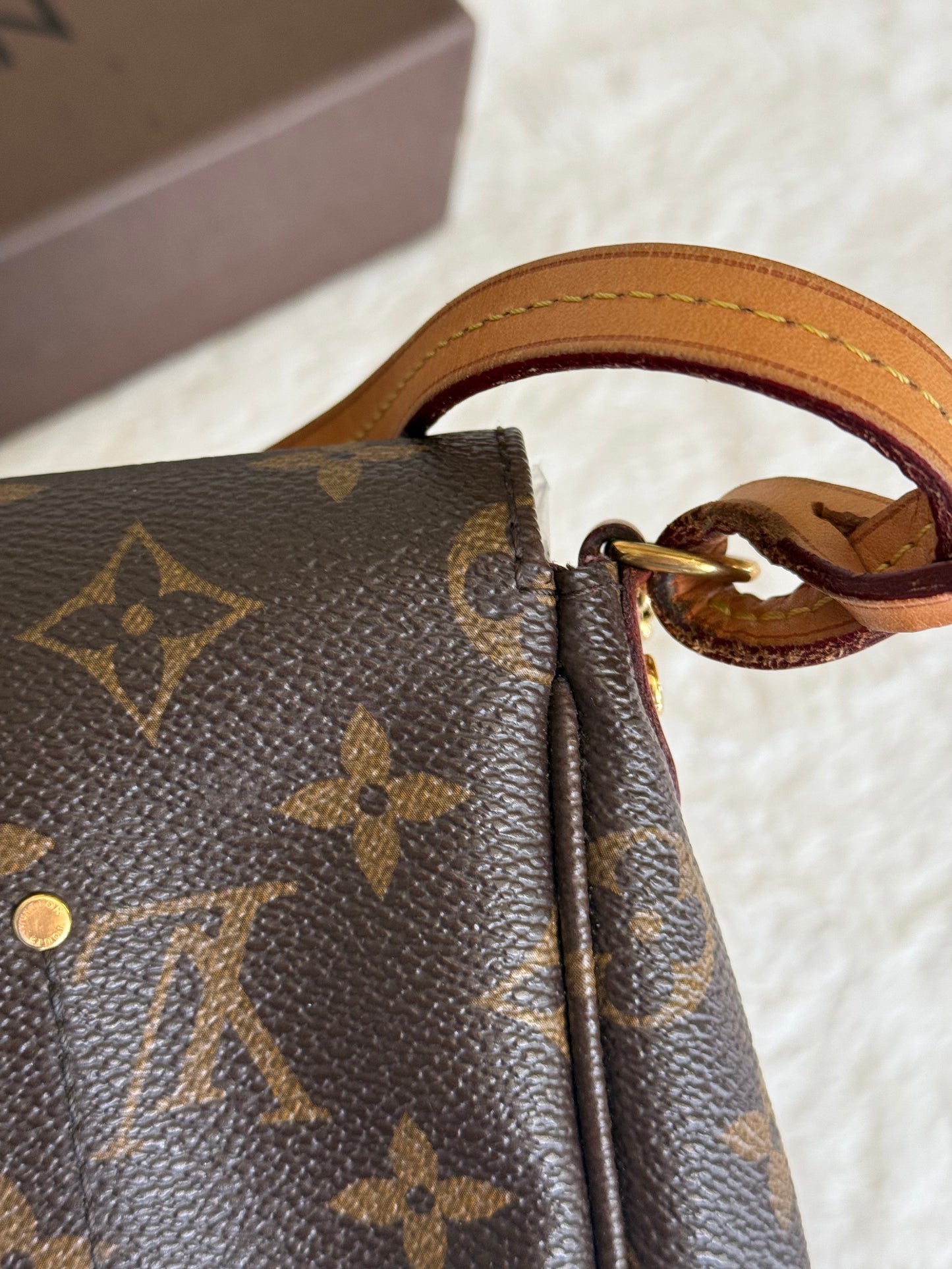 Louis Vuitton Favorite MM Mono