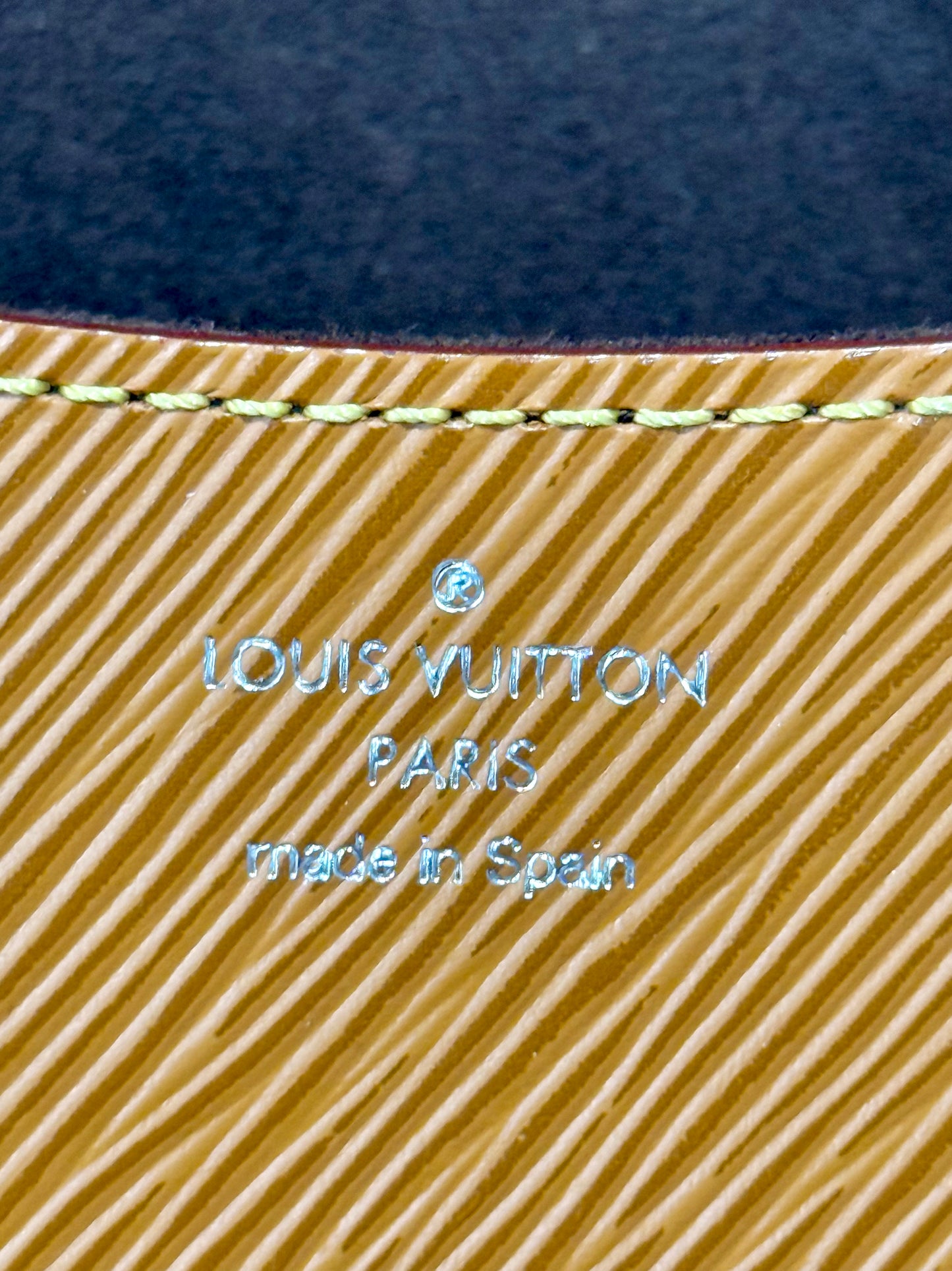 Louis Vuitton Buci in Epi Gold Honey