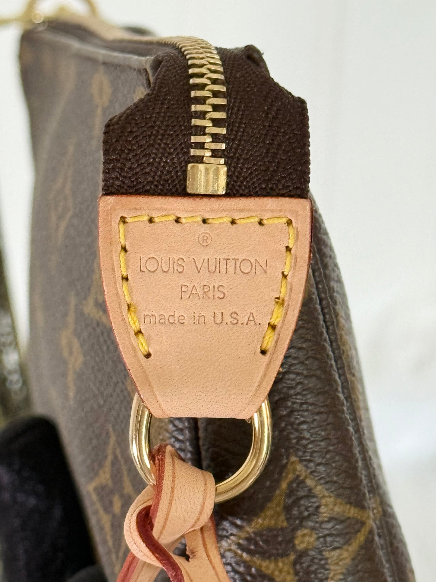Louis Vuitton Pochette Accessoires Old Model Mono