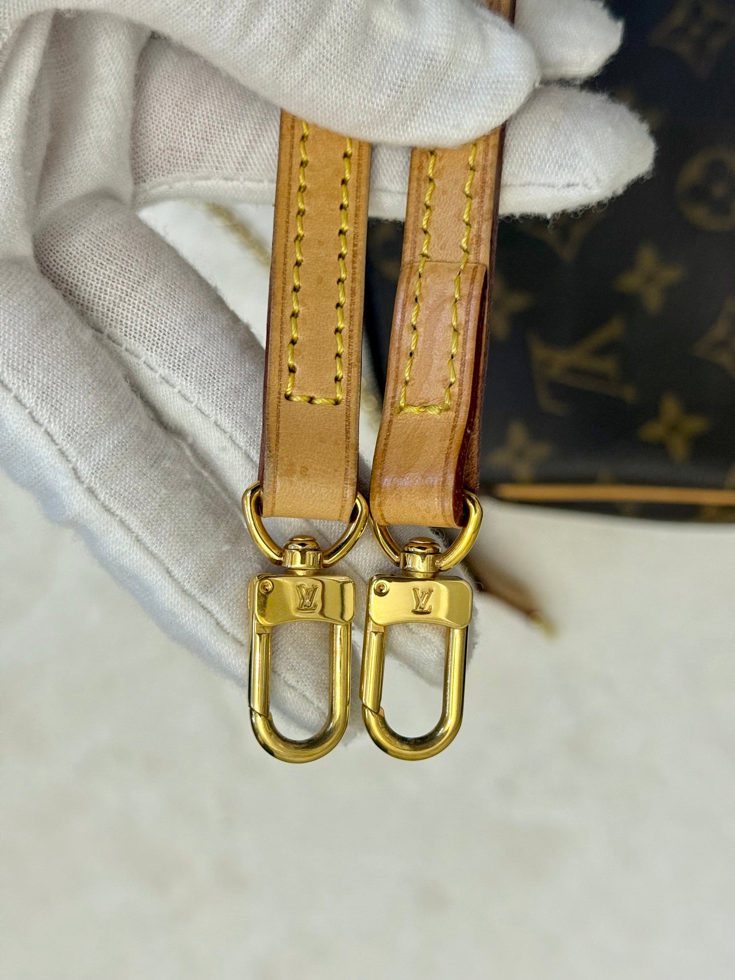 Louis Vuitton Eva Pochette Mono