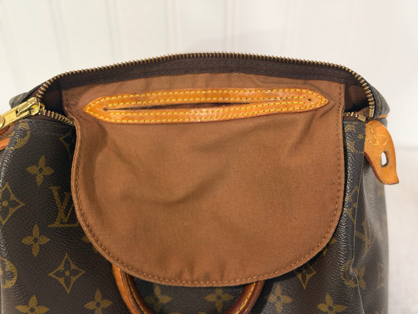 Louis Vuitton Speedy 25 Mono