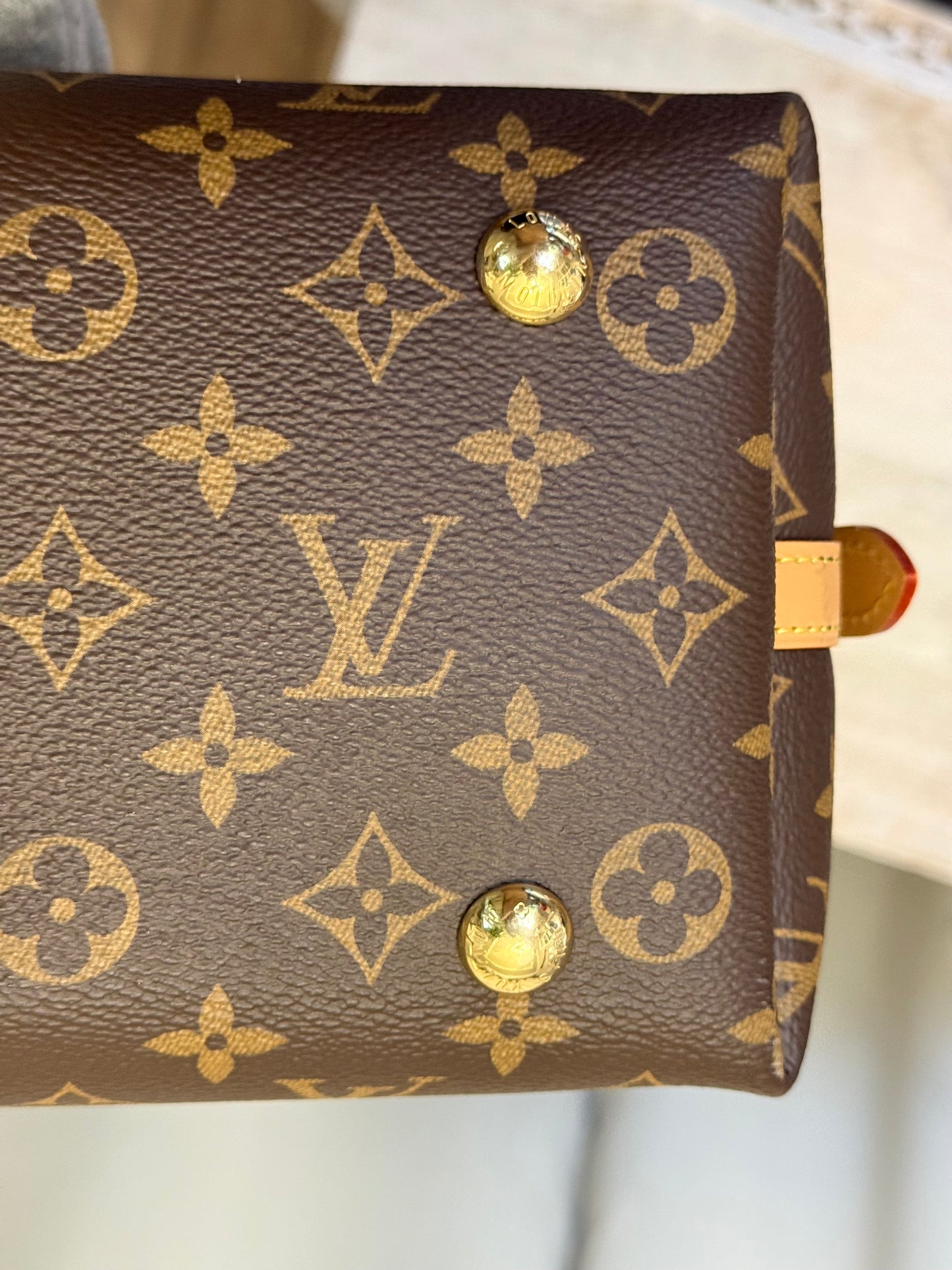 Louis Vuitton Carryall PM Mono (Bag Only)