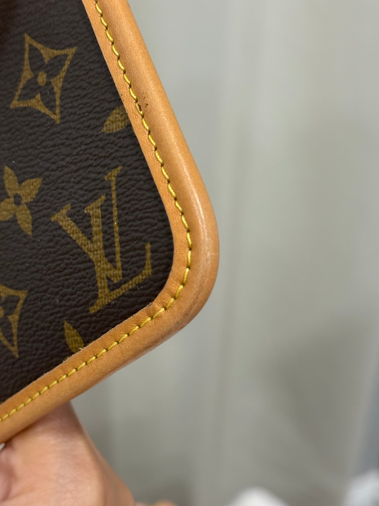 Louis Vuitton Carryall PM Pouch Mono