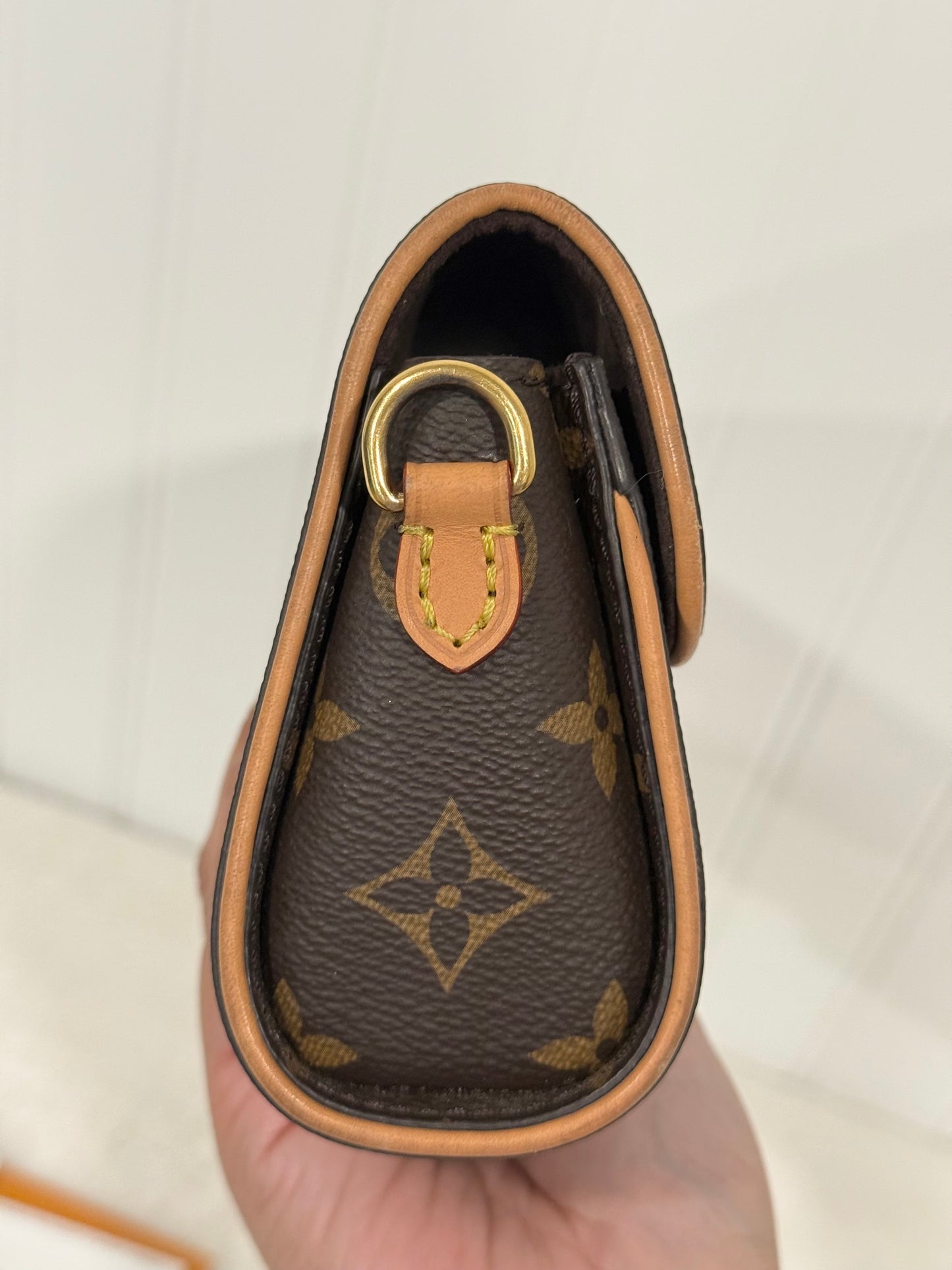 Louis Vuitton Pochette Camille