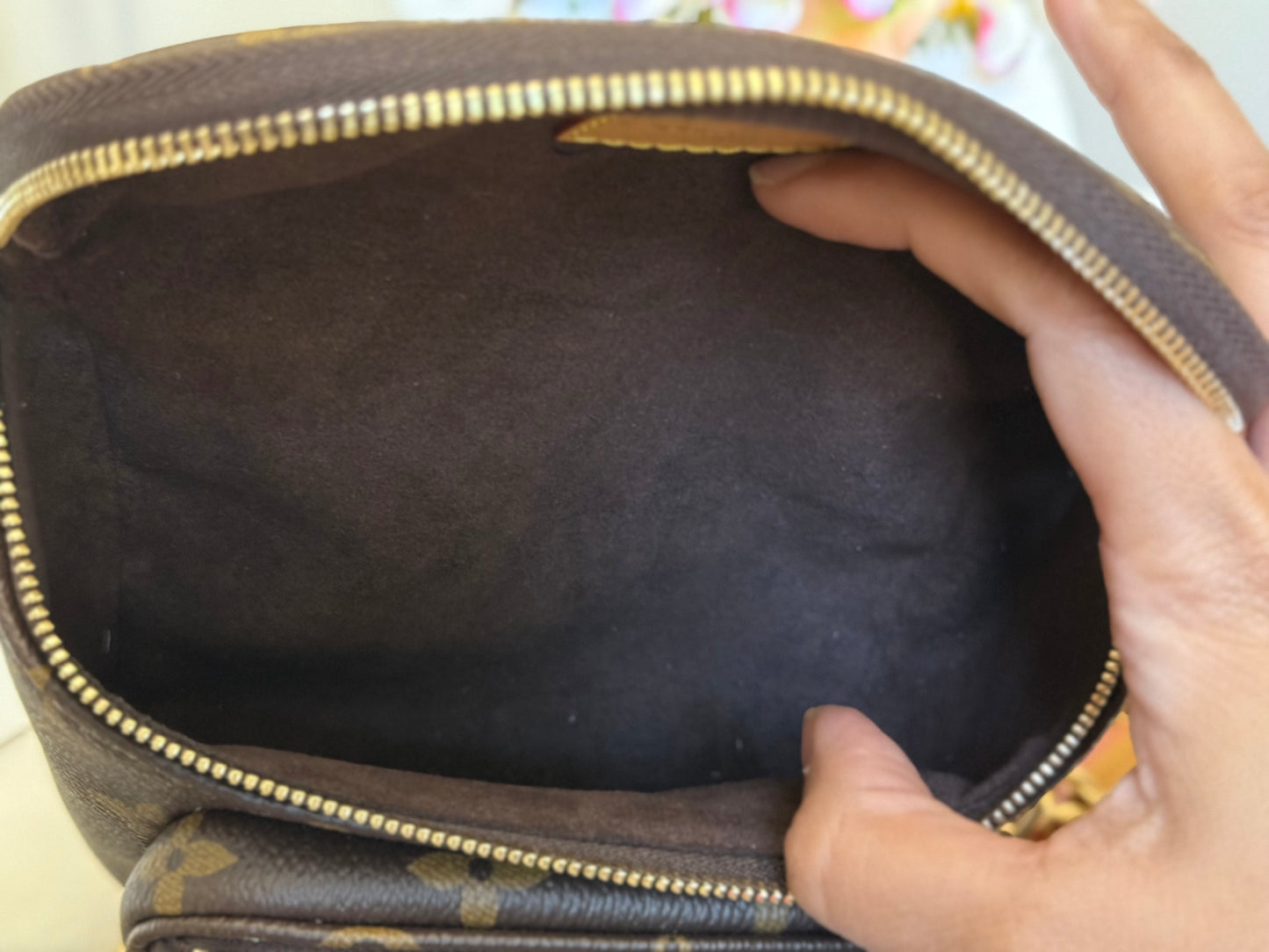 Louis Vuitton Mini Bumbag Mono
