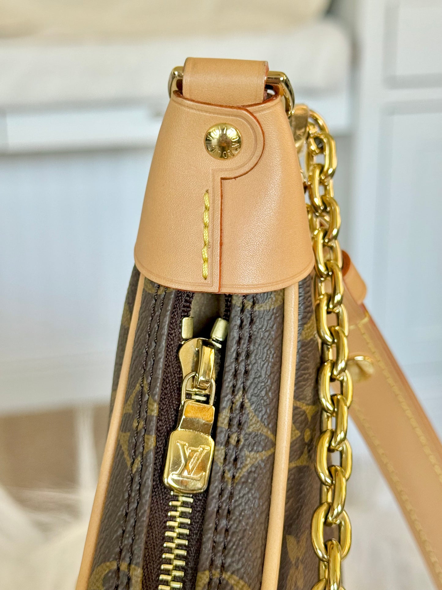 Louis Vuitton Loop PM Mono