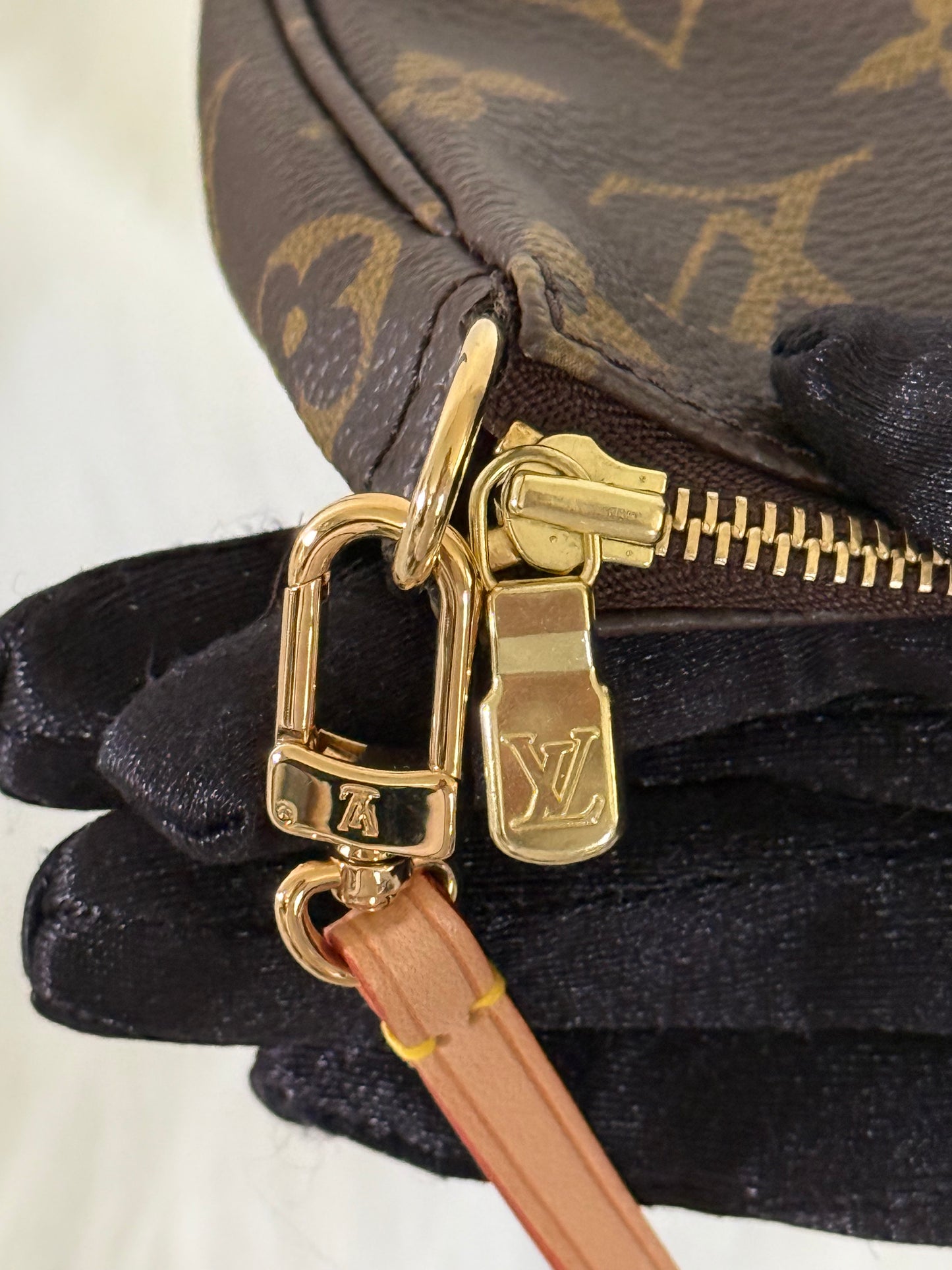 Louis Vuitton Pochette Accessoires Old Model Mono