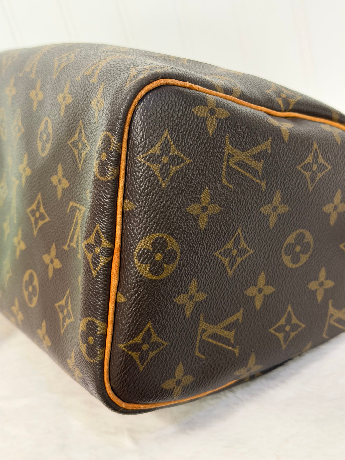 Louis Vuitton Speedy 25 Mono
