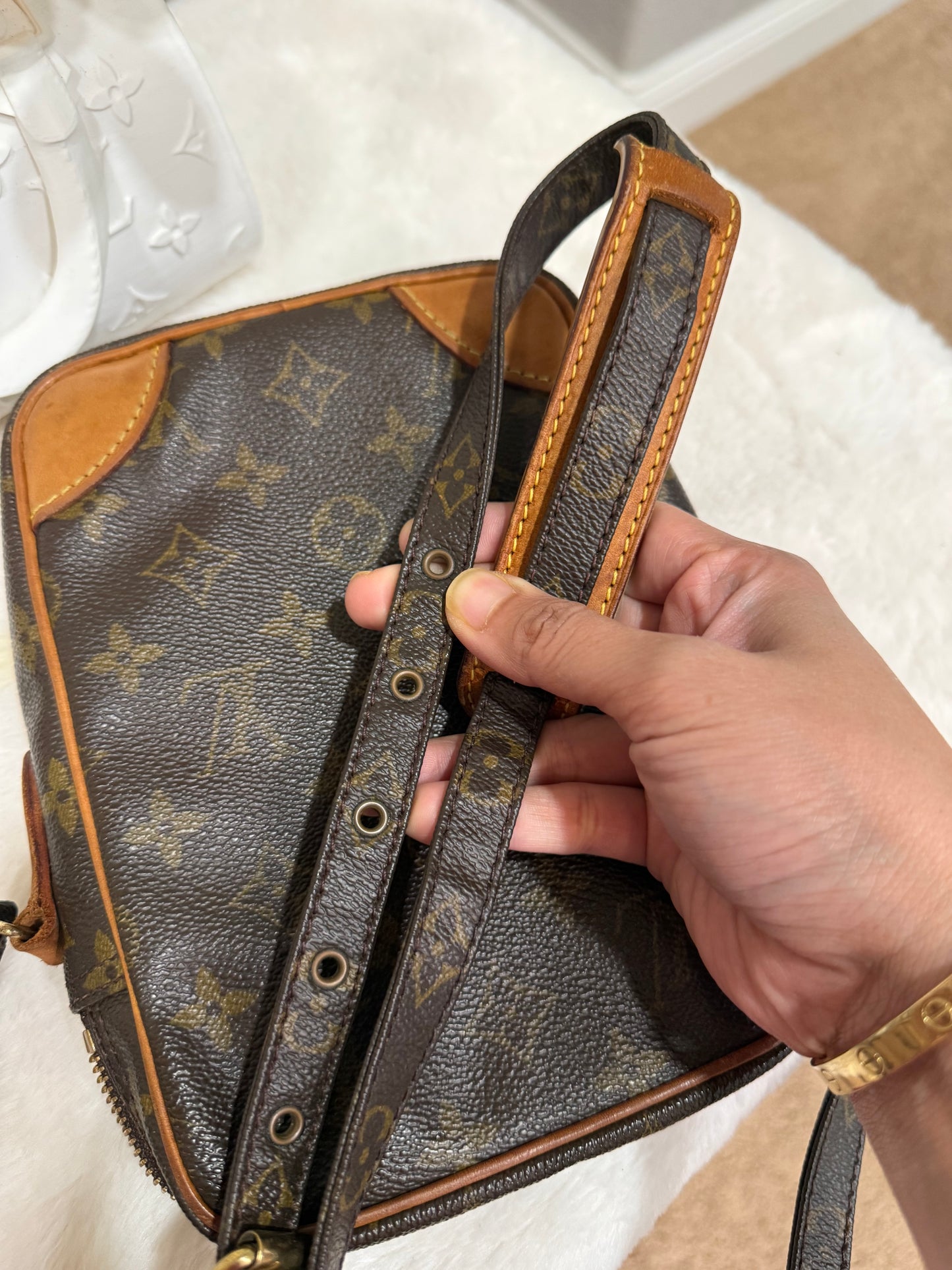 Louis Vuitton Danube PM Mono