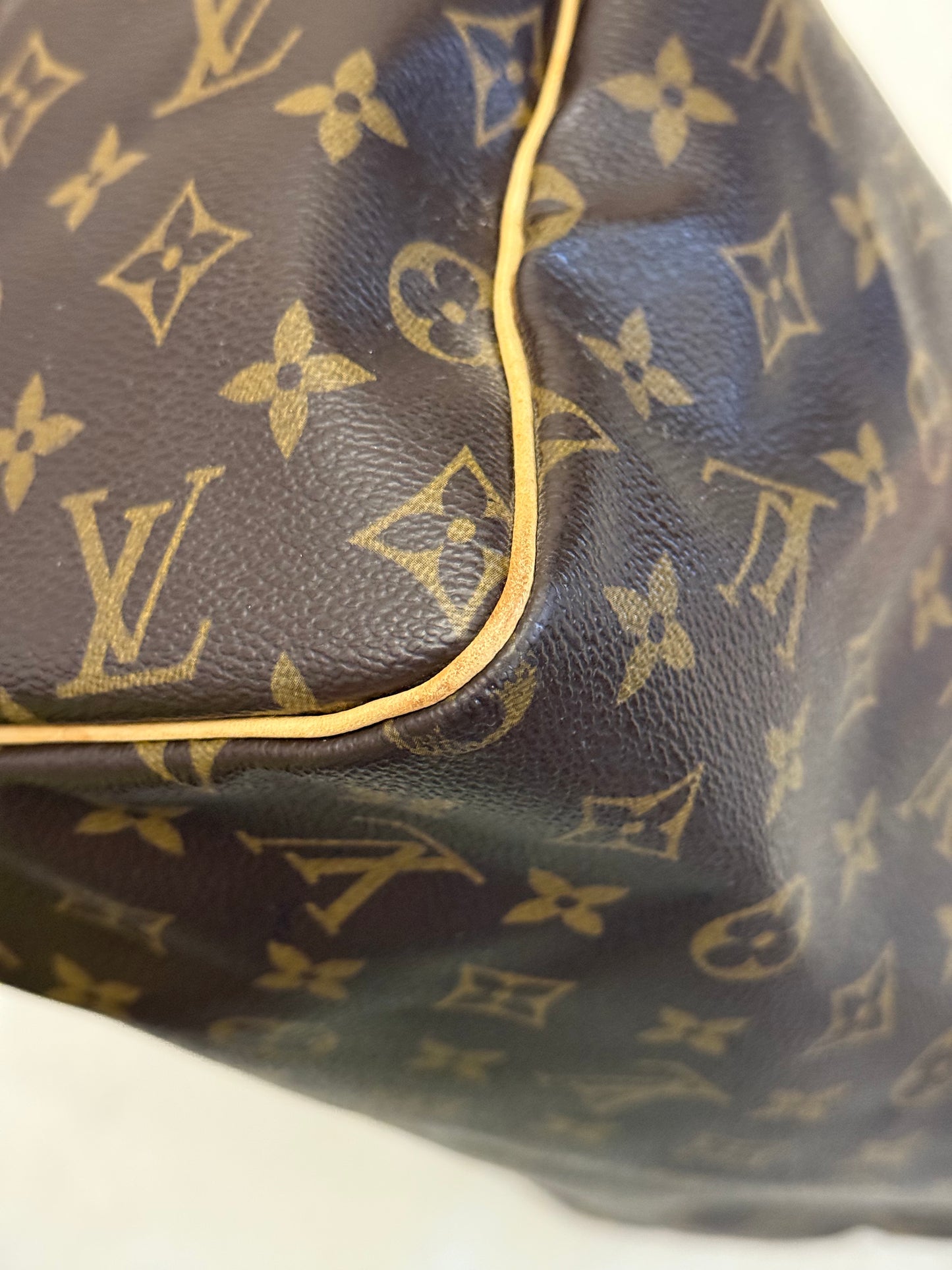 Louis Vuitton Speedy 30 Mono