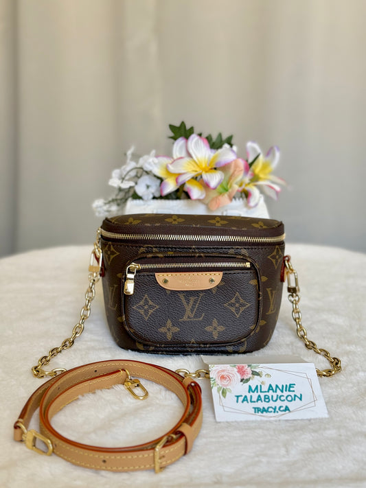 Louis Vuitton Mini Bumbag Mono