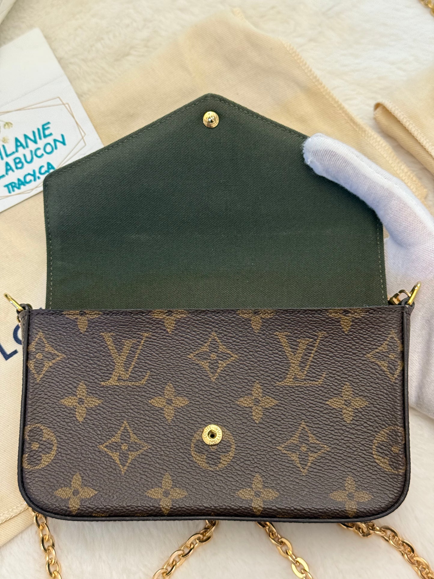 Louis Vuitton Felicie Strap and Go (Bag Only)