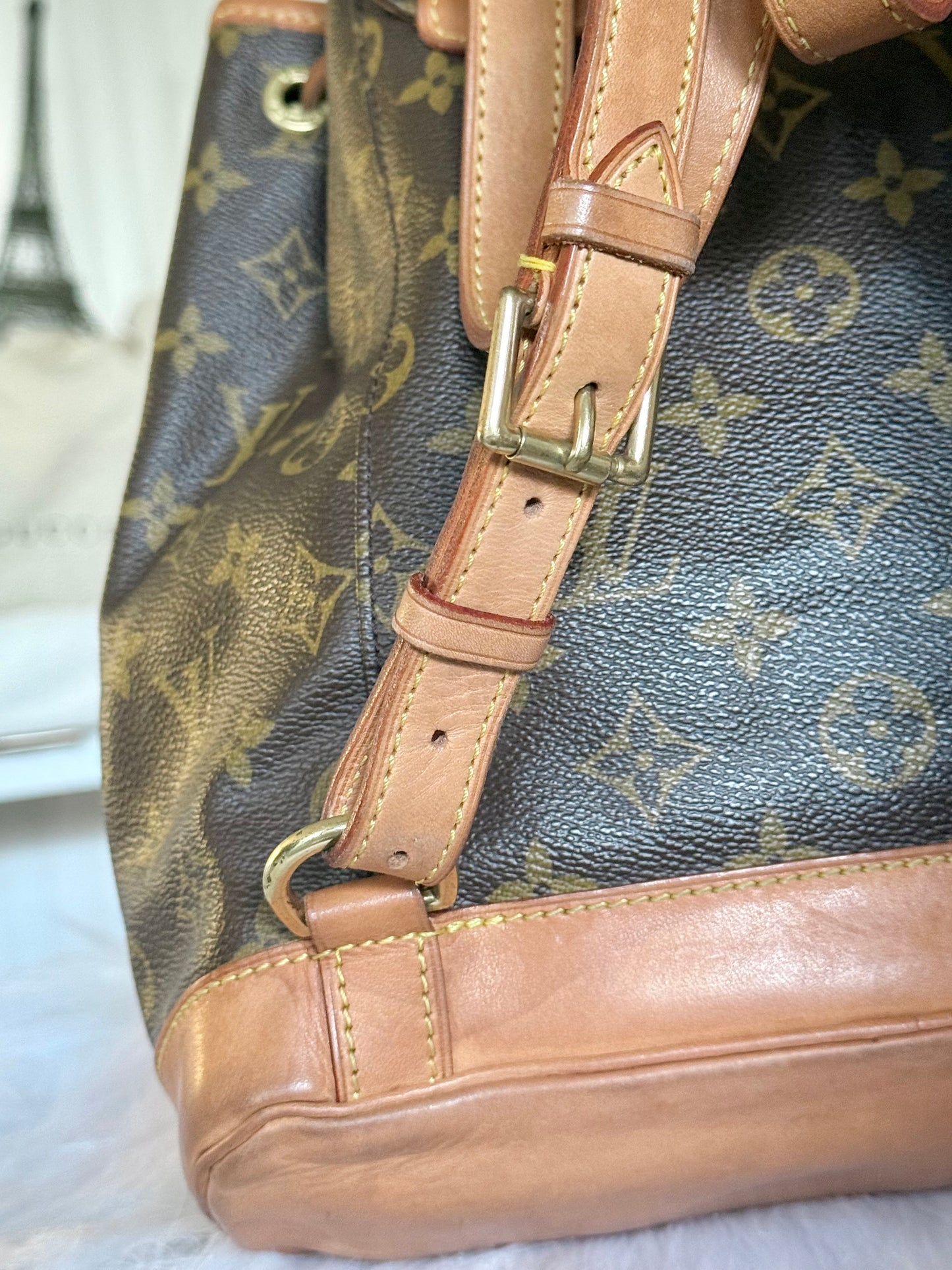Louis Vuitton Montsouris PM Mono Old Model