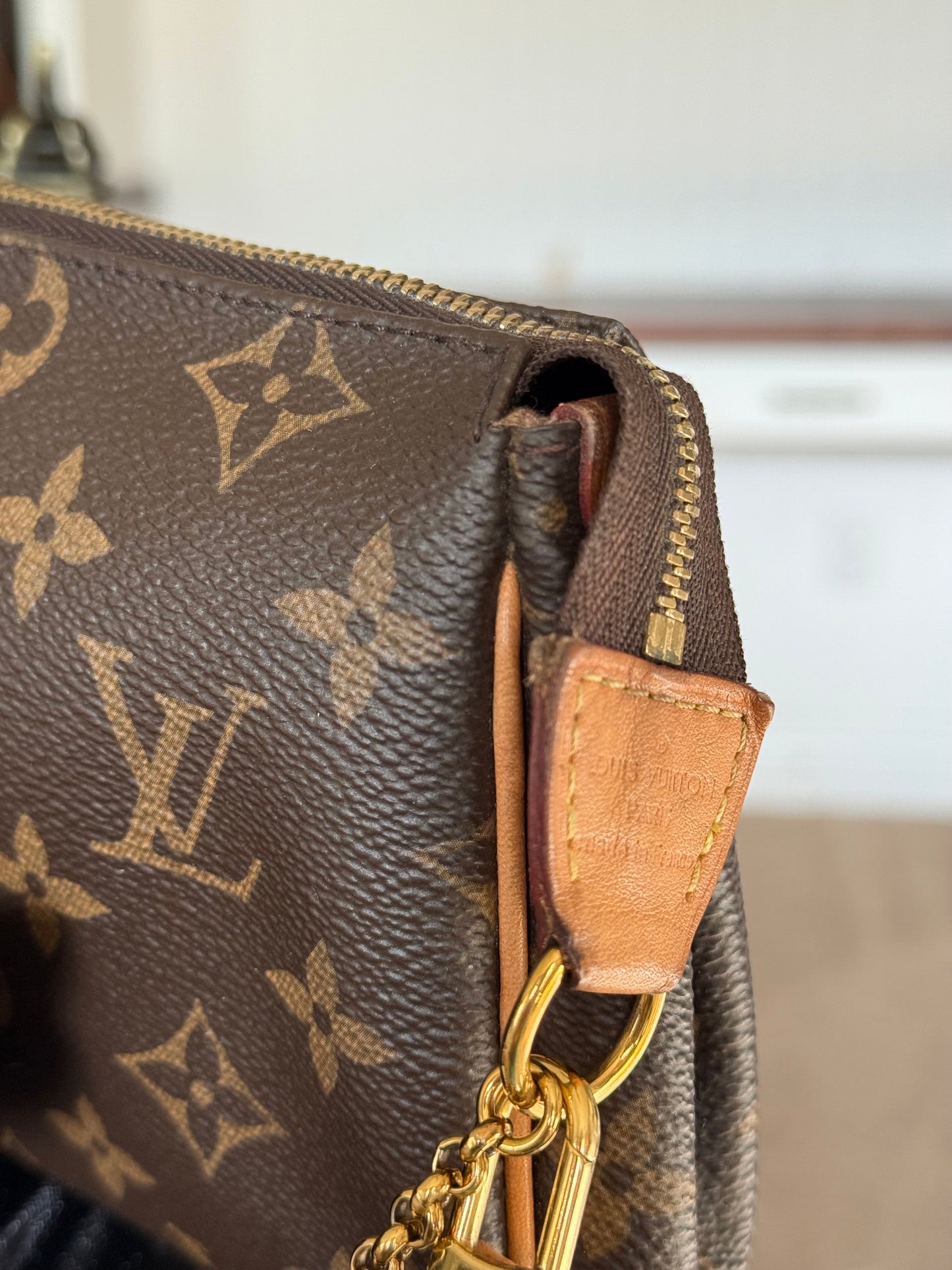 Louis Vuitton Eva Pochette Mono