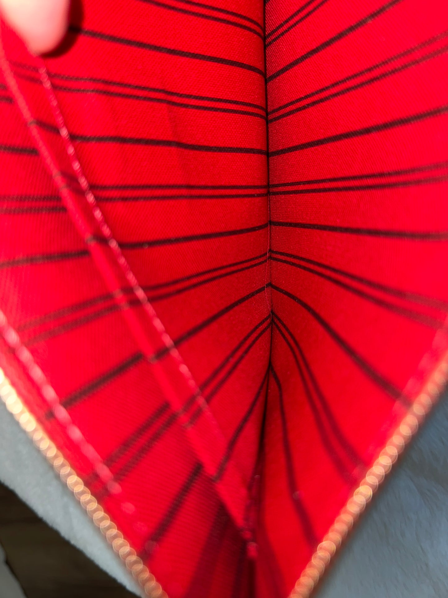 Louis Vuitton Neverfull MM Mono Cherry Bag and Pouch