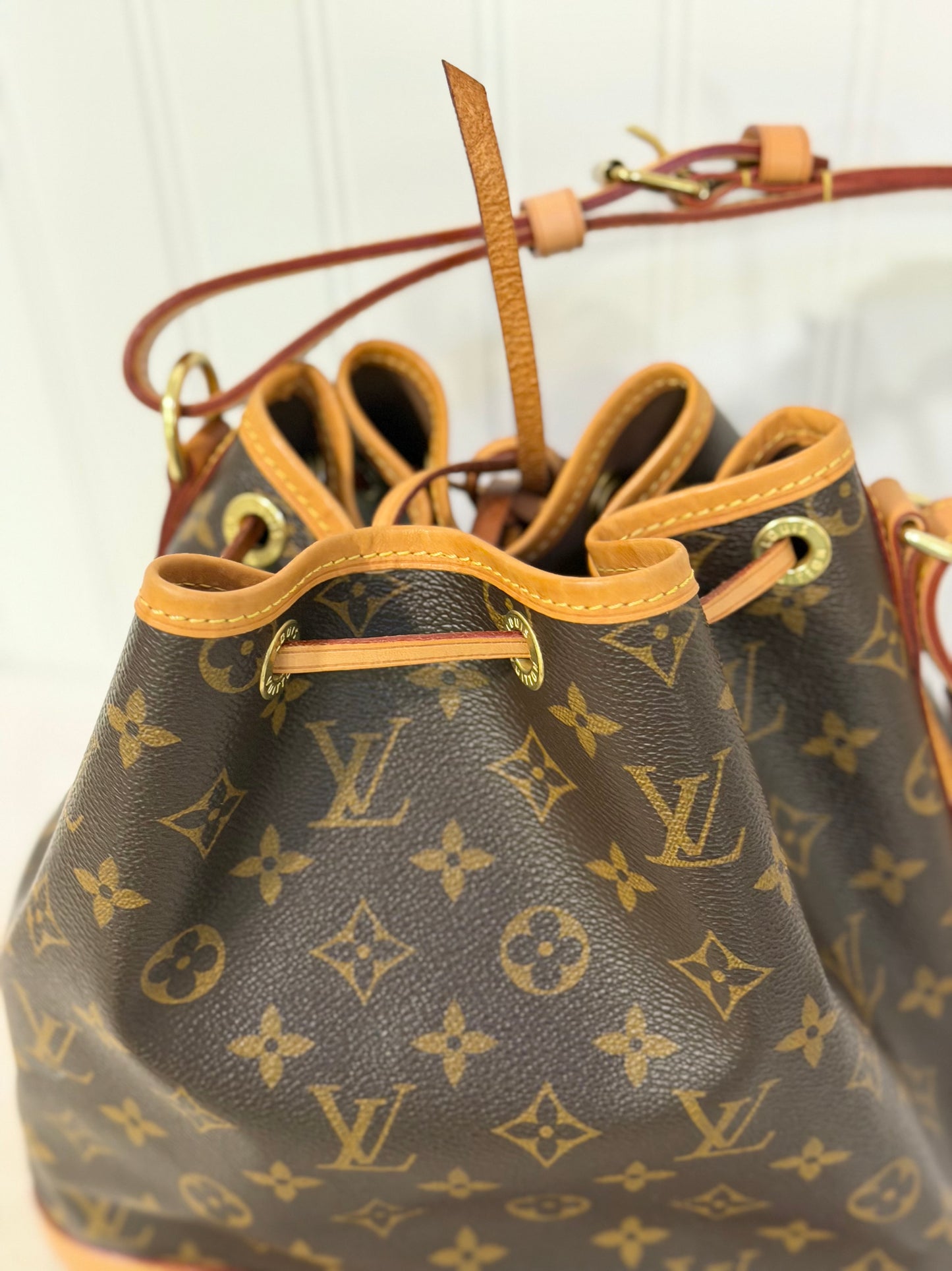Louis Vuitton Petit Noe NM Mono