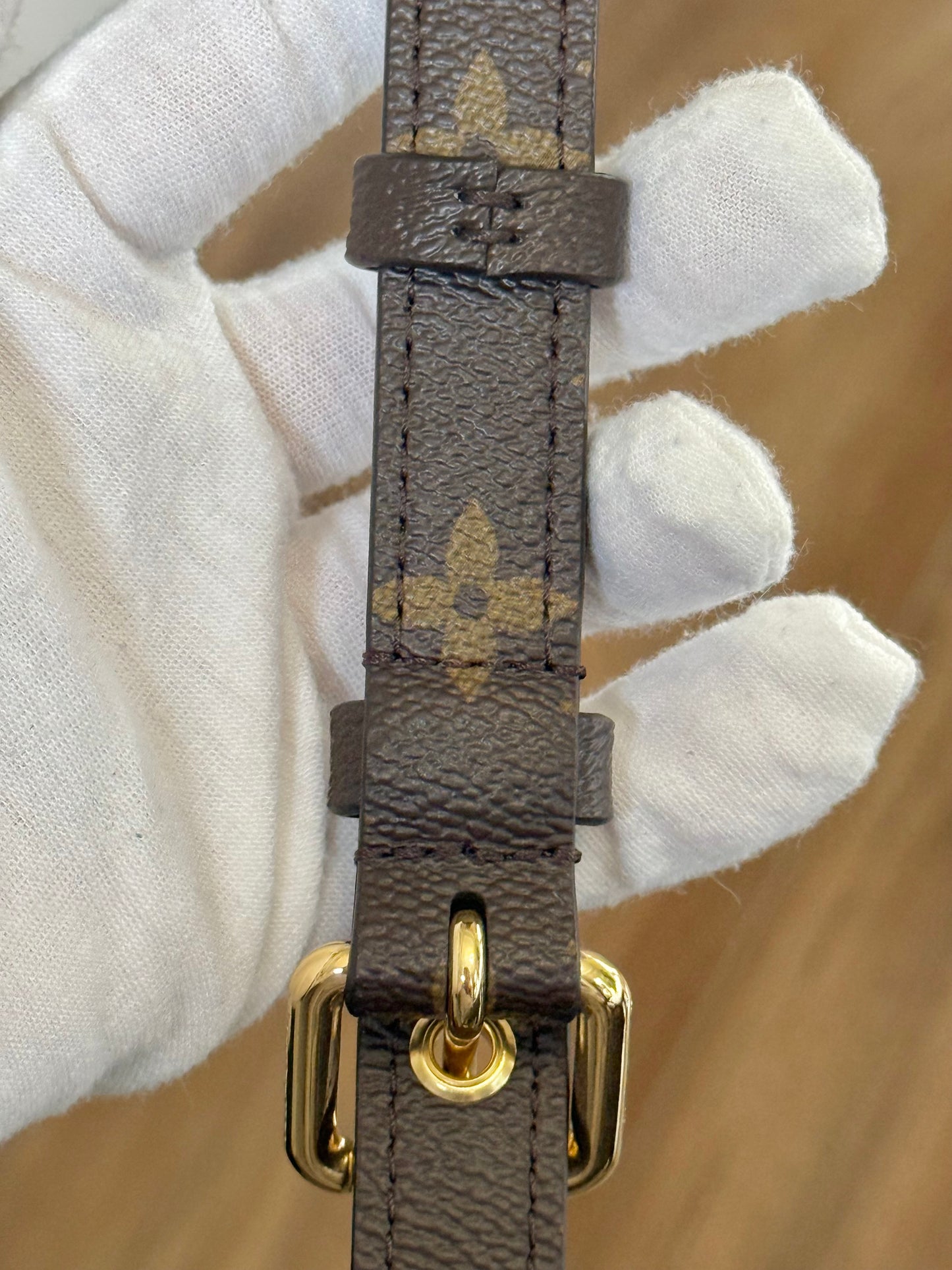 Louis Vuitton Pochette Metis Mono