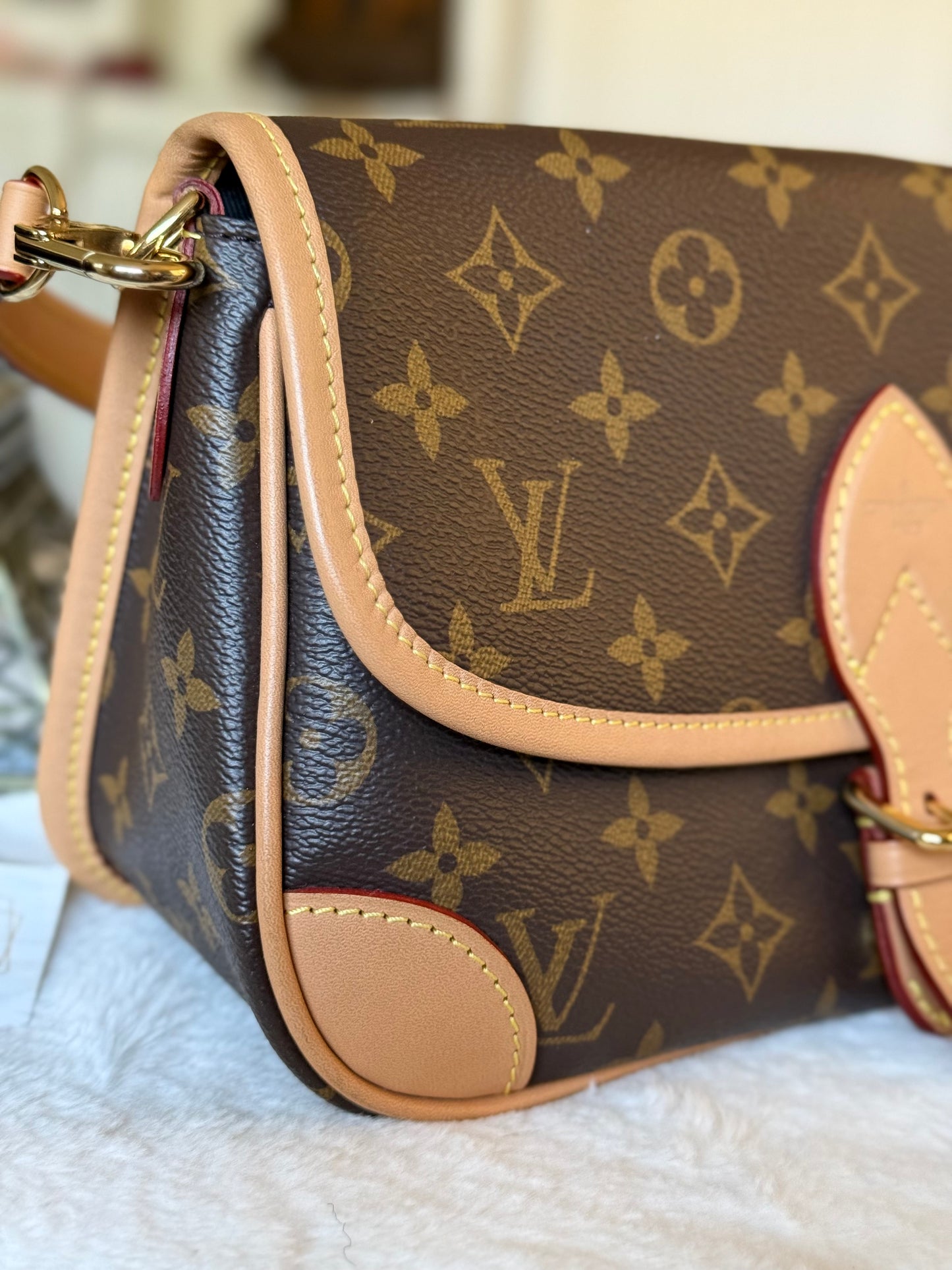 Louis Vuitton Diane Mono with Shoulder Strap