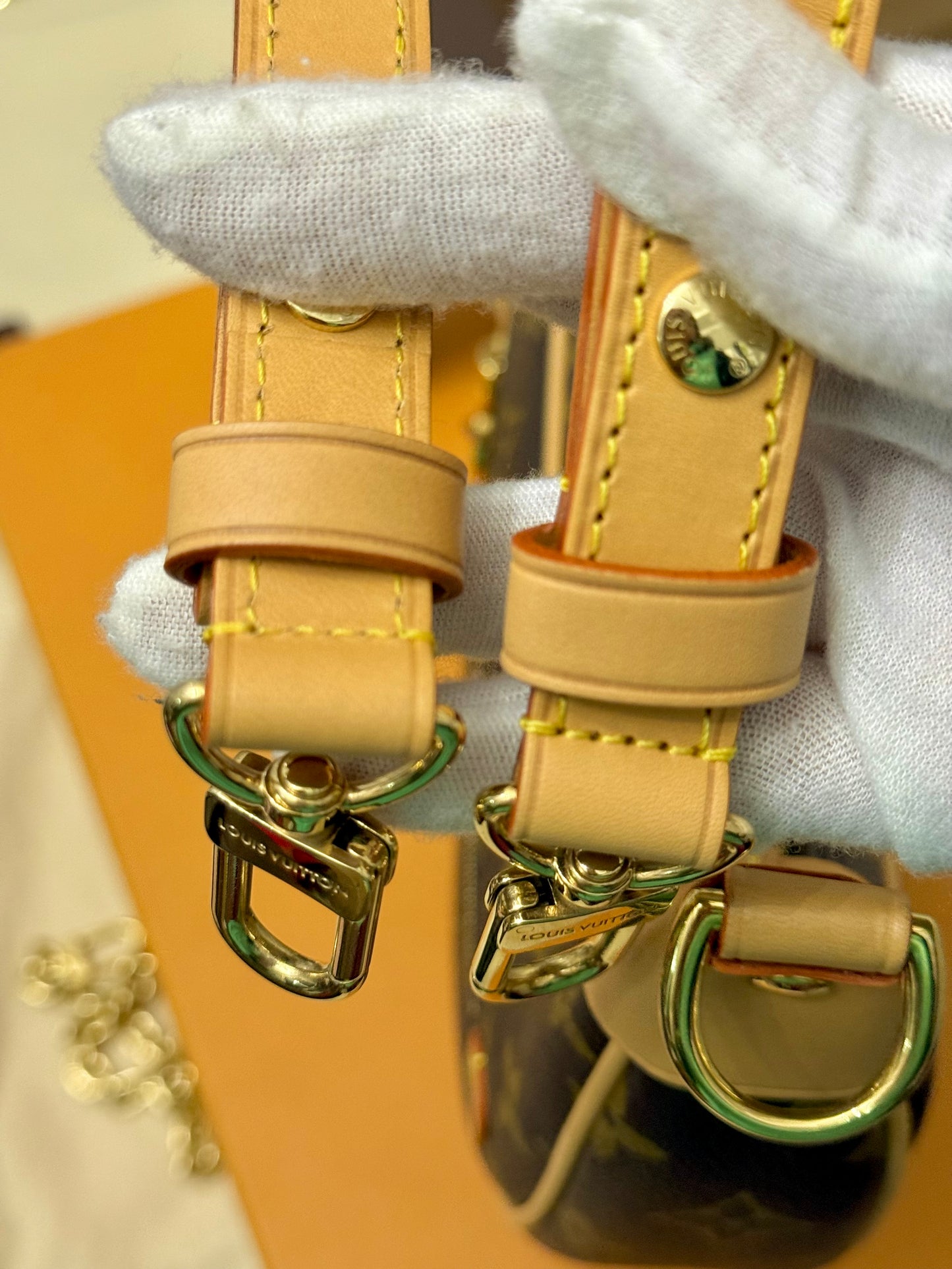 Louis Vuitton Loop PM Mono