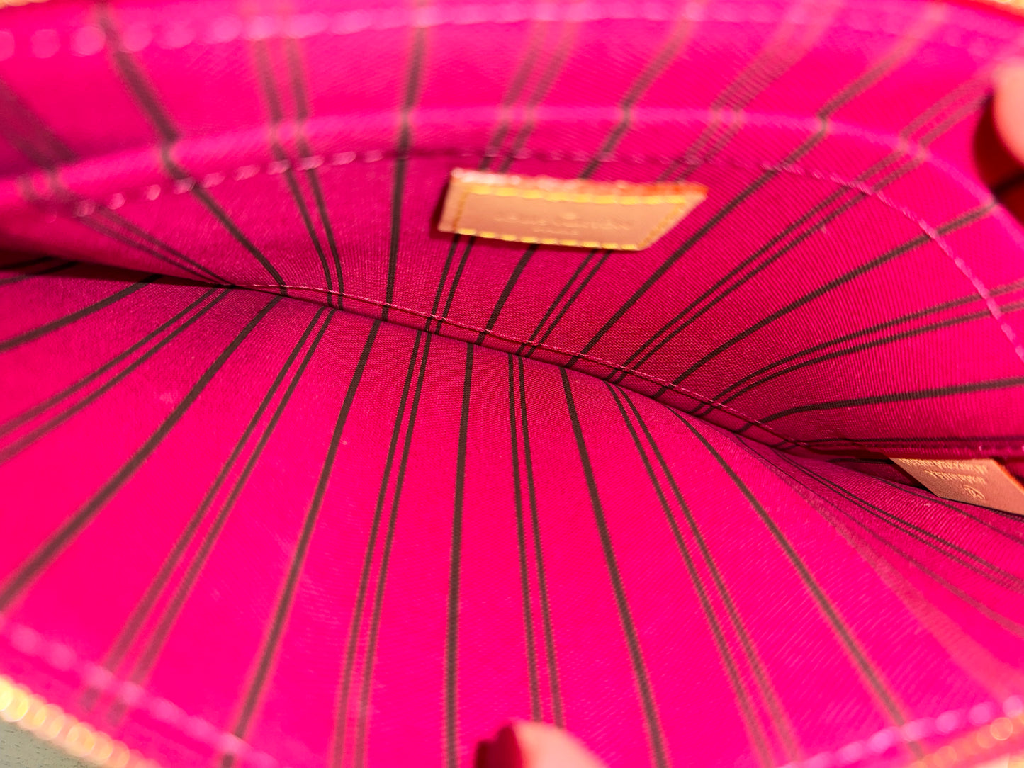 Louis Vuitton Neverfull Mono Pouch Pivoine